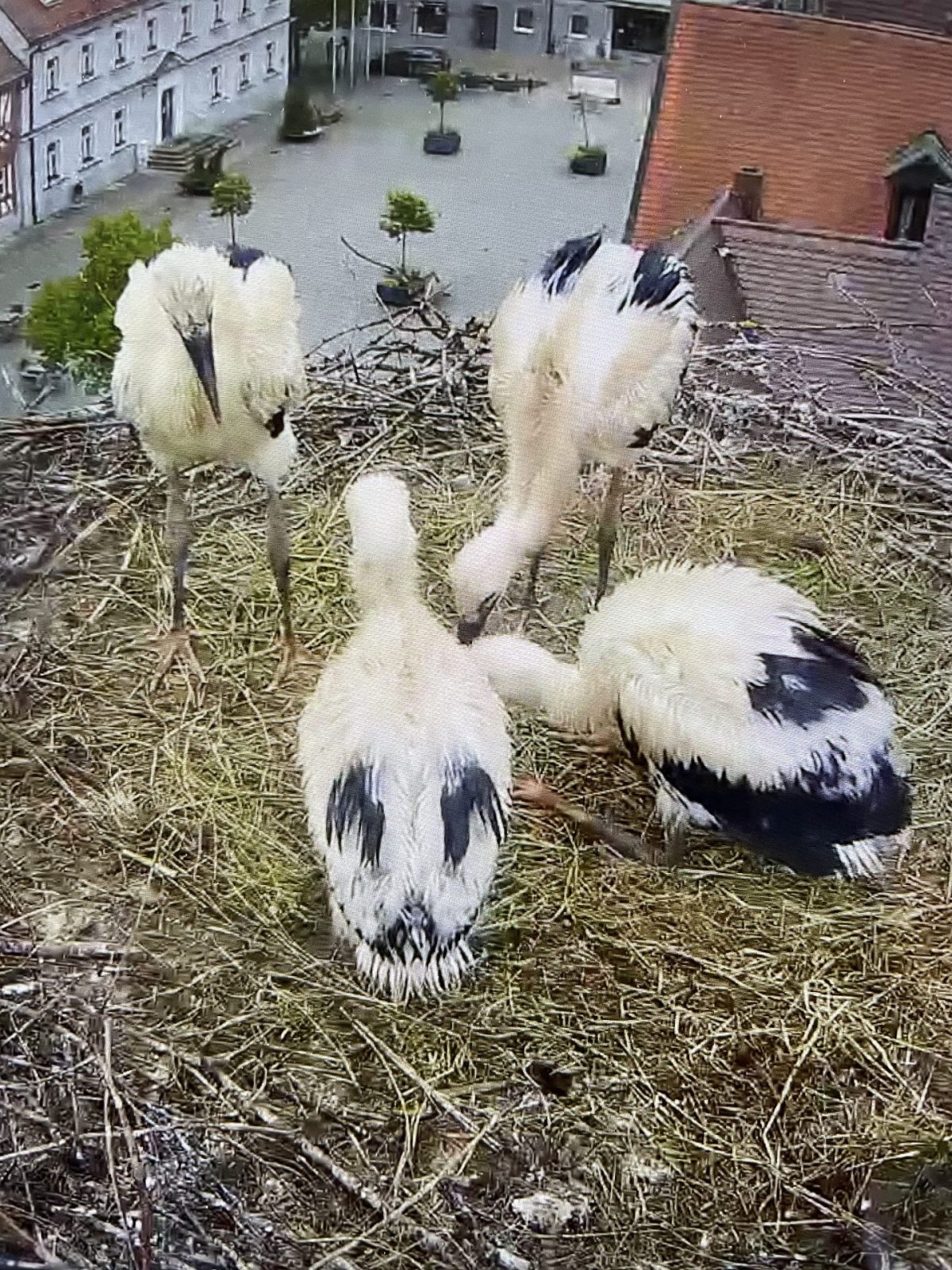 705CFE70-4D5D-42B1-B0D9-477608CC4254