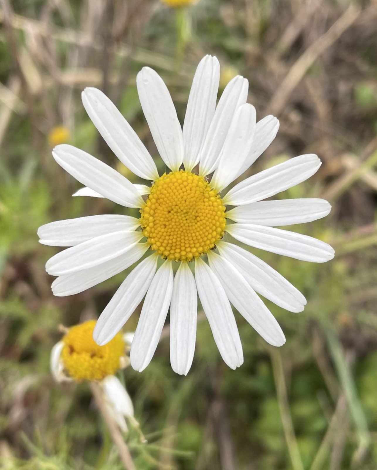 709F68D7-3D48-4B56-A3DA-128FEC44238F