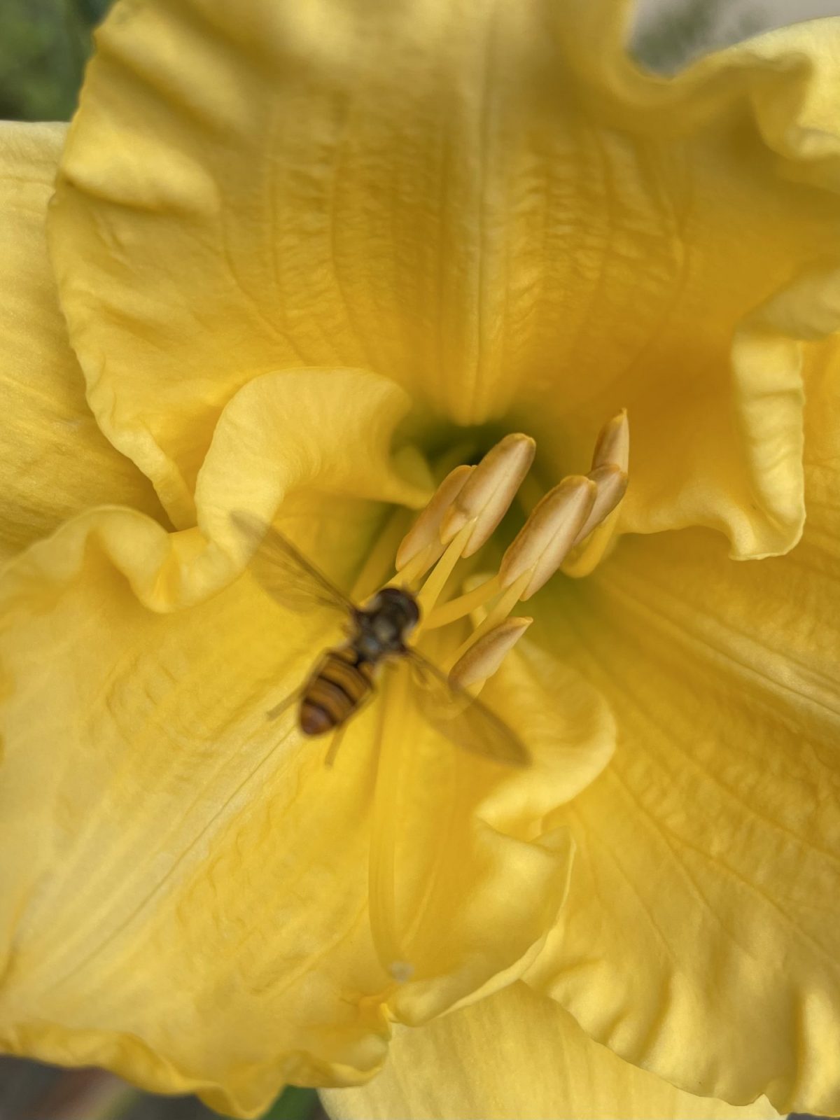 70C03A66-CAE7-4AED-8D21-0C7D8883D95F