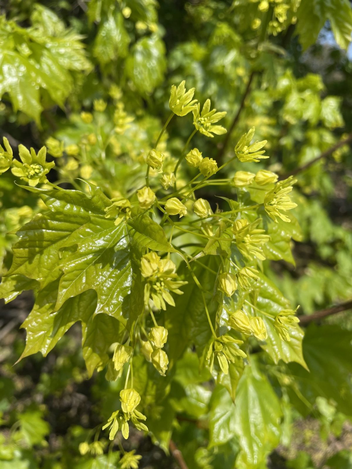 70FE0B11-128F-41BD-A5DD-898E50A57821