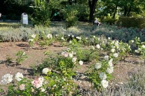 710edac2-4a34-45f9-a901-95d070085fd3