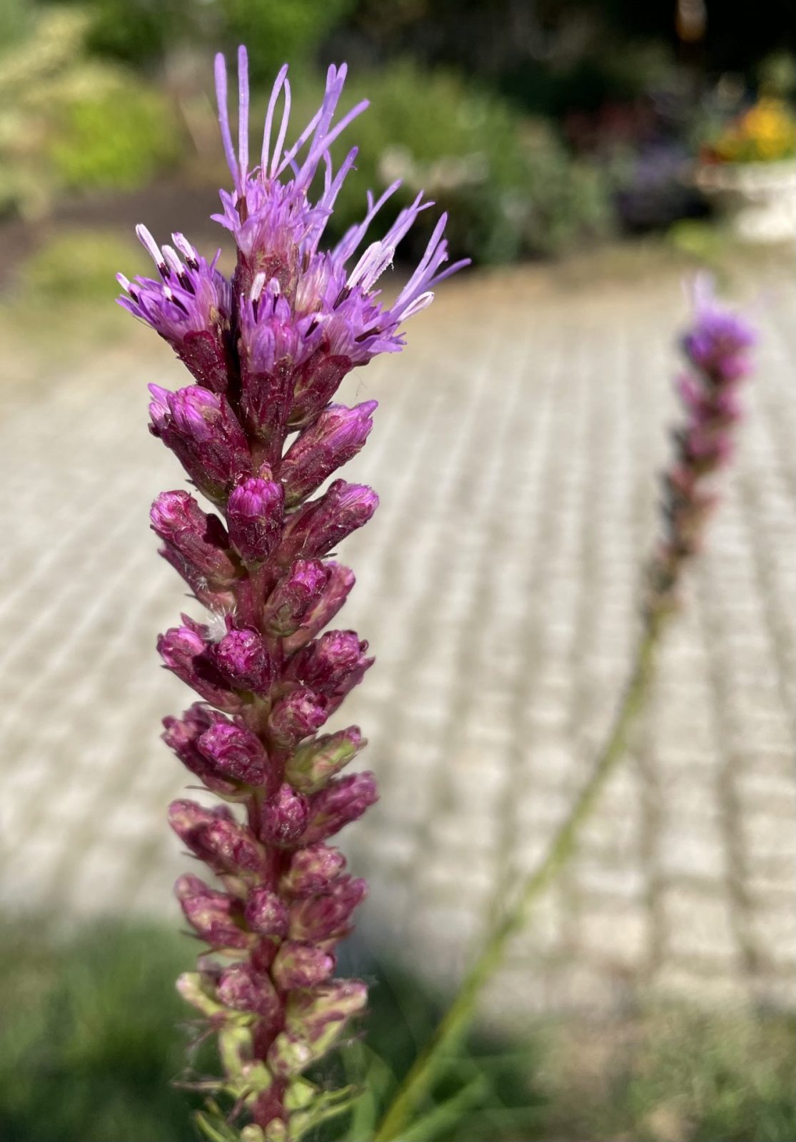 711465B8-8B9F-40D8-A684-1D107A59AB0F