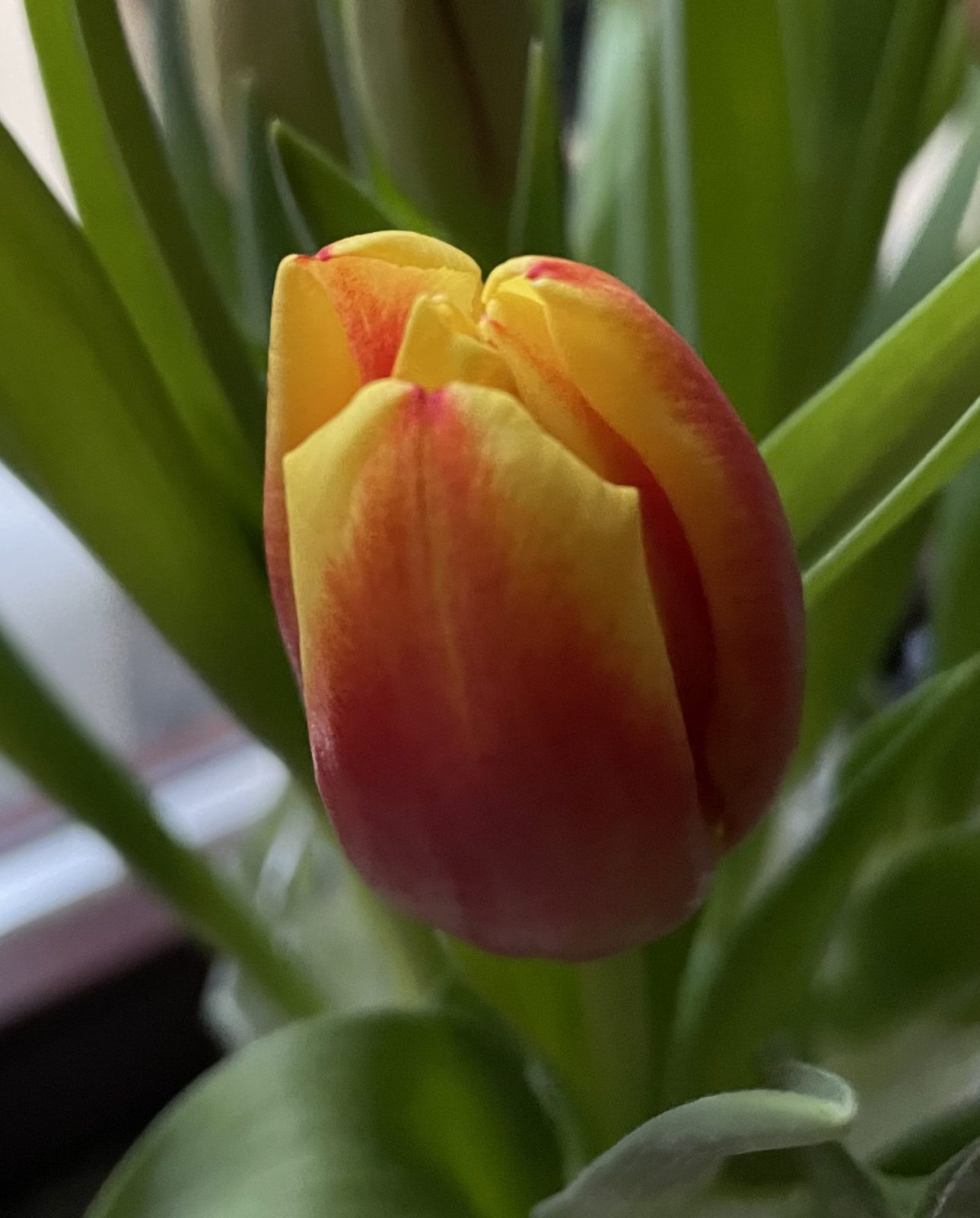 712CA4A7-4F4D-47B6-8400-D1B402C45394