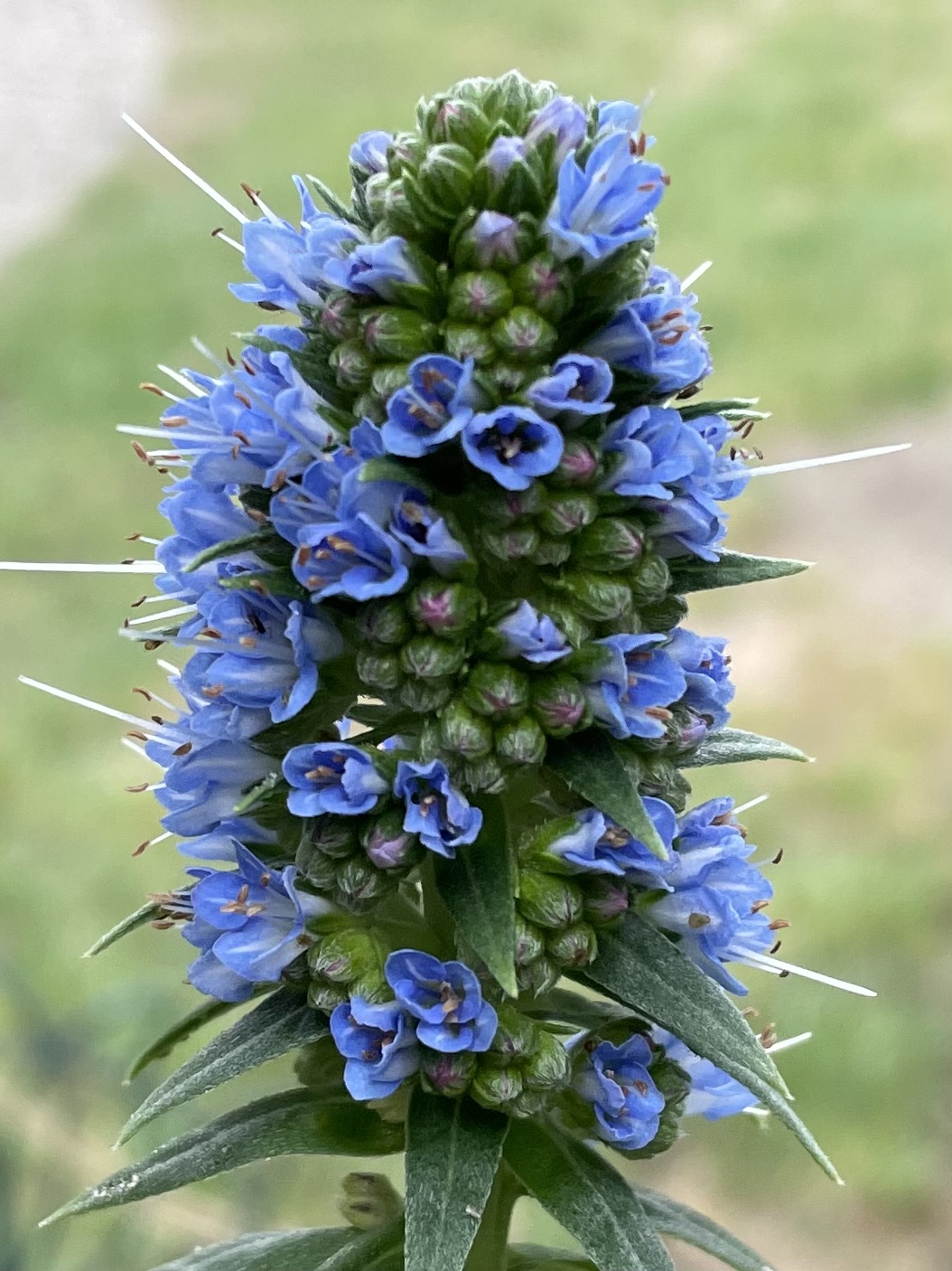 71565AEC-9F4E-4AB0-B071-A8C054AA8E21