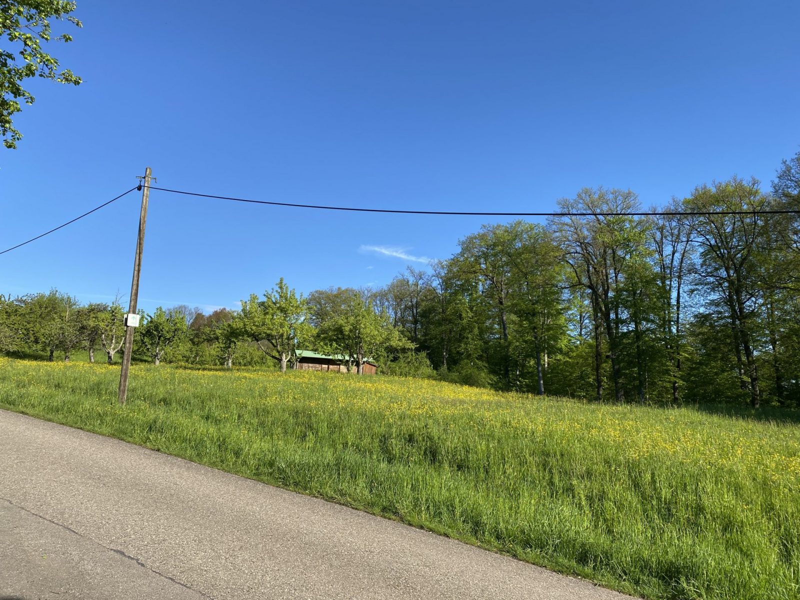 71F53262-EB7D-435A-AFD4-63C93A222458