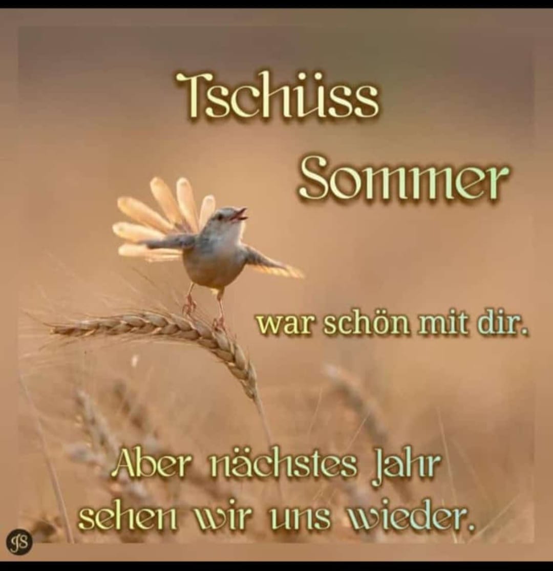 722f008a-e5dd-4965-86b2-c2efe54b65e2