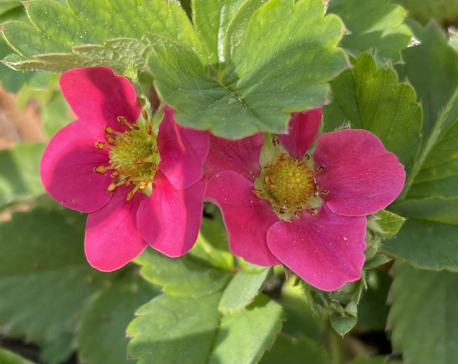 73453BF1-3837-4A9D-A095-1DD82305D123