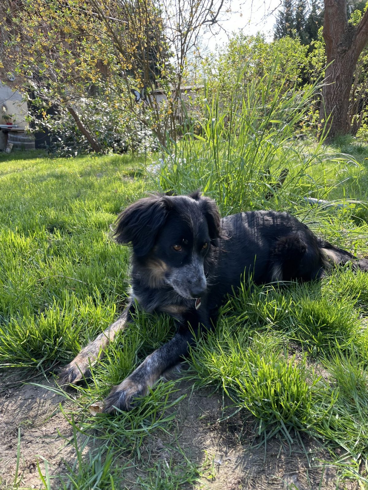 739254BE-B985-401F-8EAB-E84AB528E05C