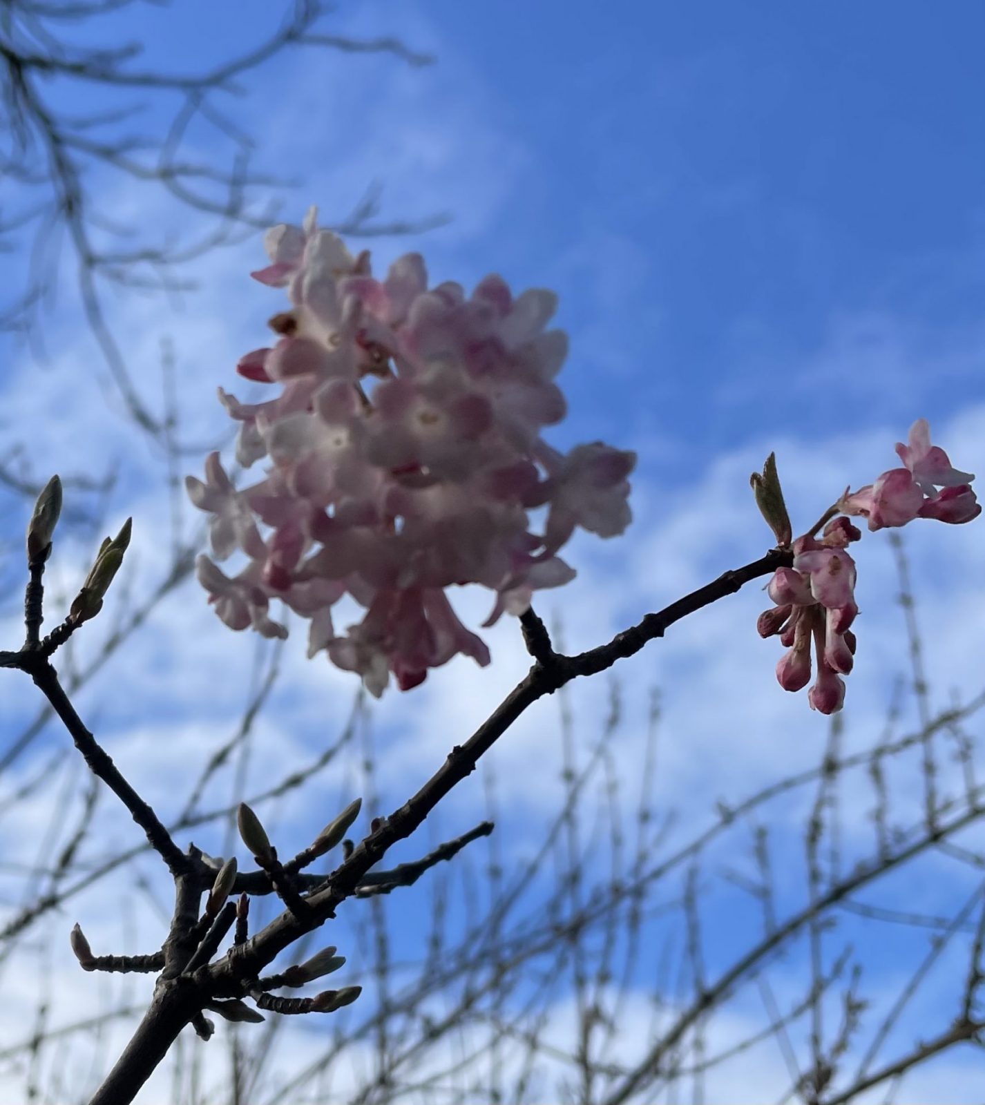 73C80790-C0EC-4F8D-A91F-5DE3B7D44EBD