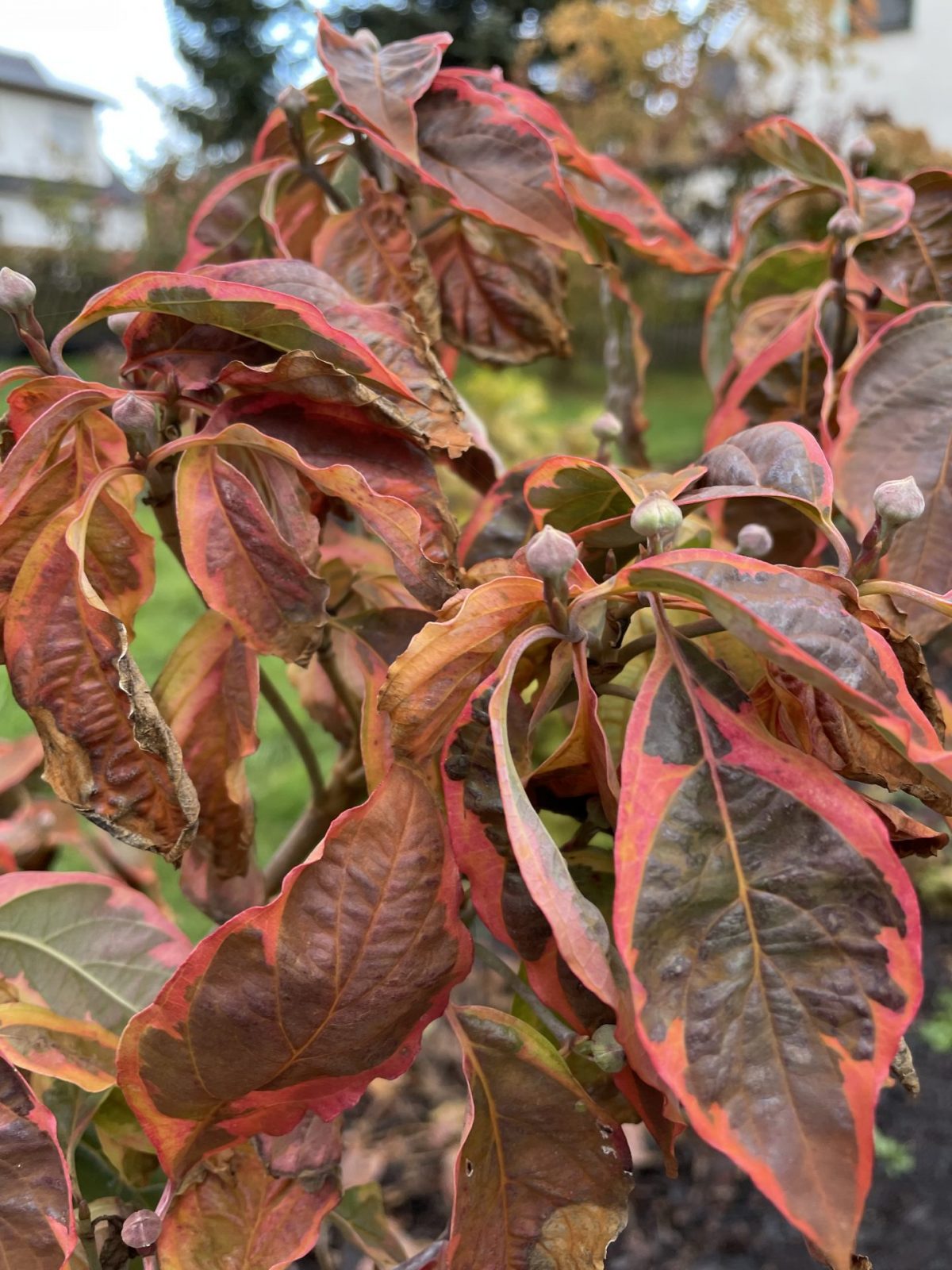 73C84759-1F81-455C-9B8E-A79633FA5AD8