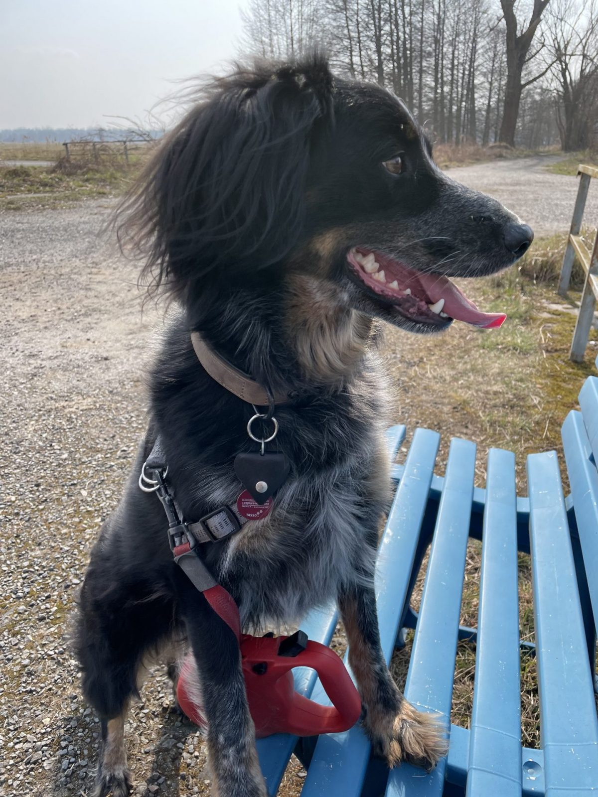 73F557E7-BF43-4B2E-9D57-65825574E4CD