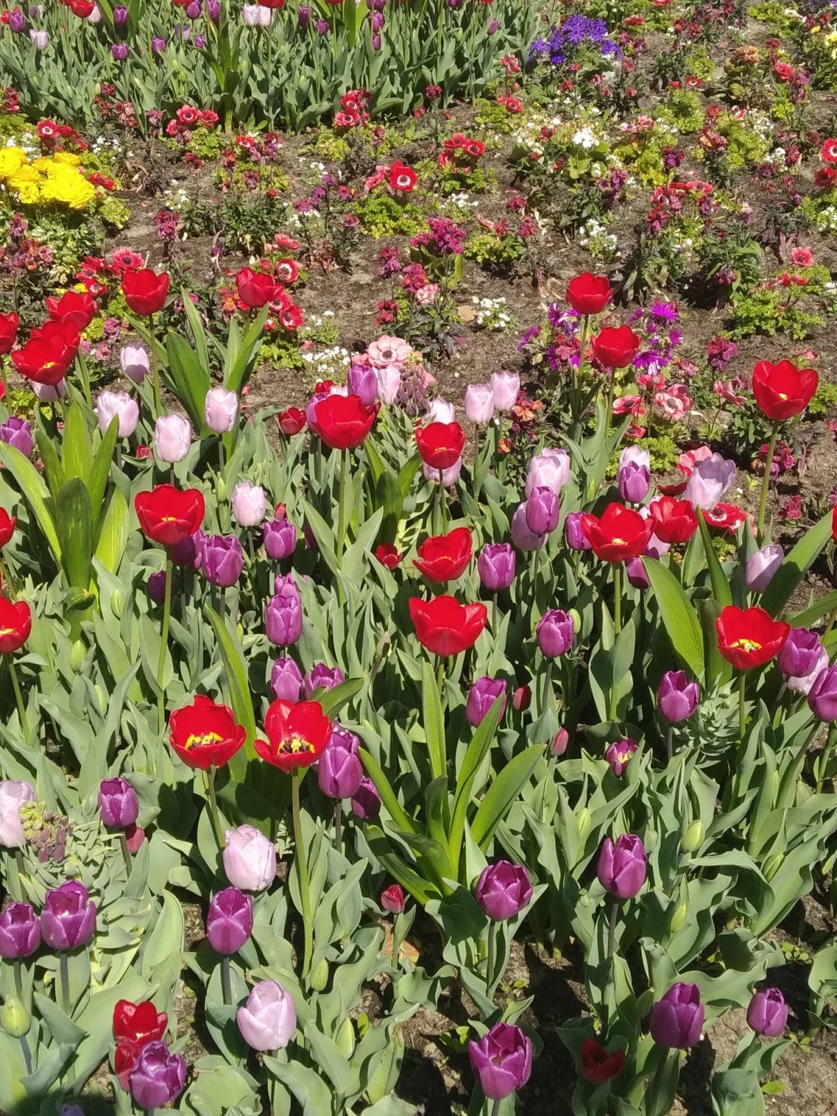 74083137-D12C-4ED7-89BC-4EF33111B71D