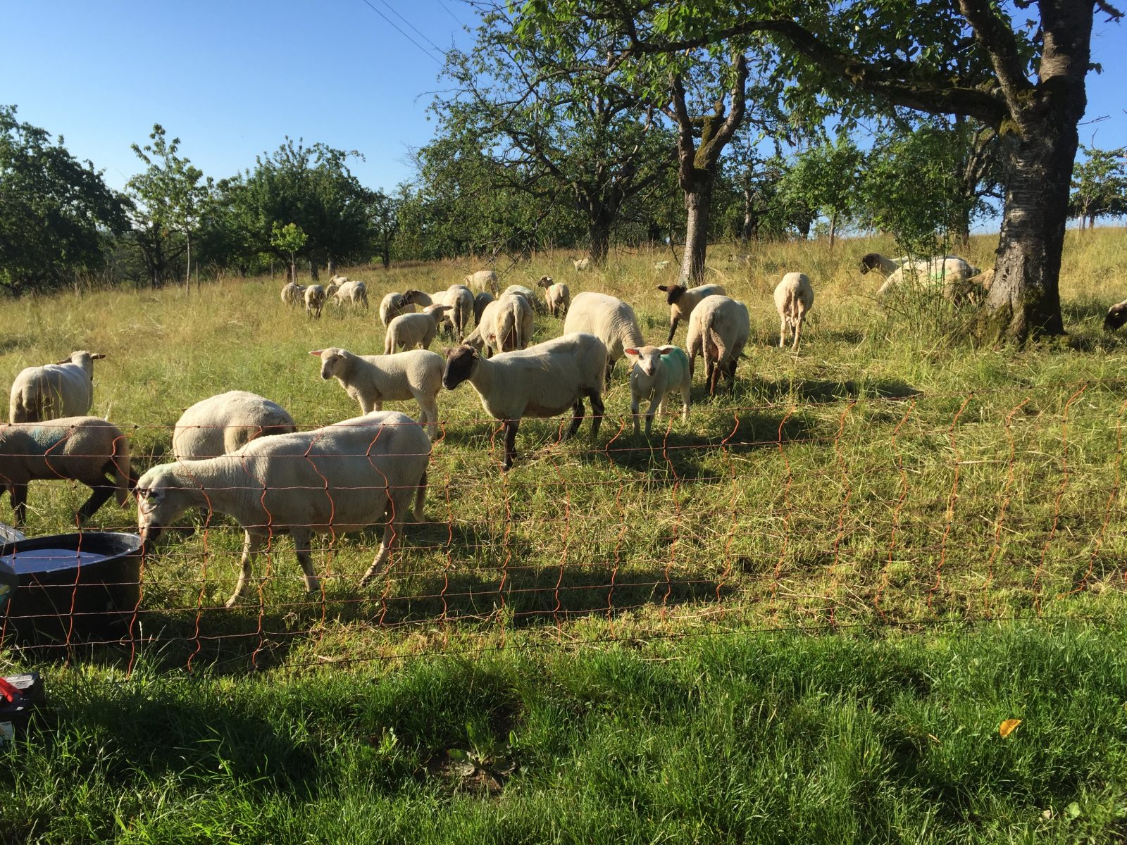 741B1047-4056-439A-9D35-F156F3B1A612