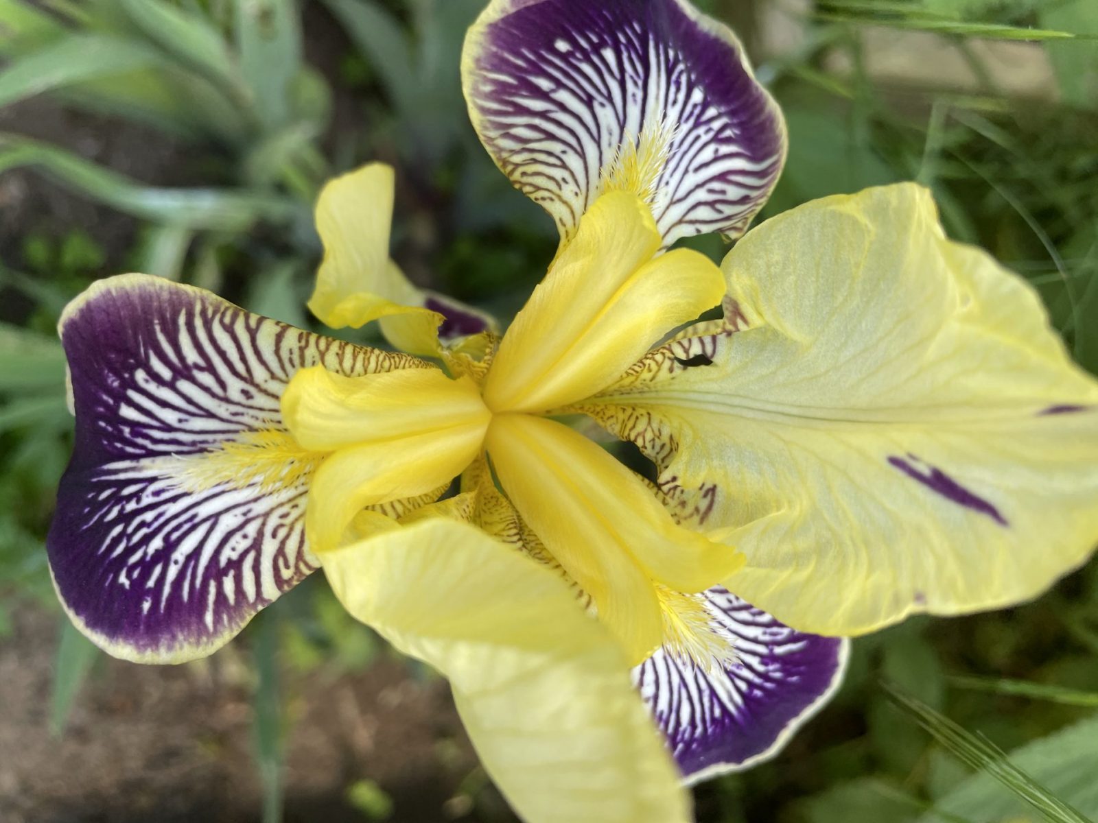 743F3D48-73FF-41DB-824B-8E92CACBCC33