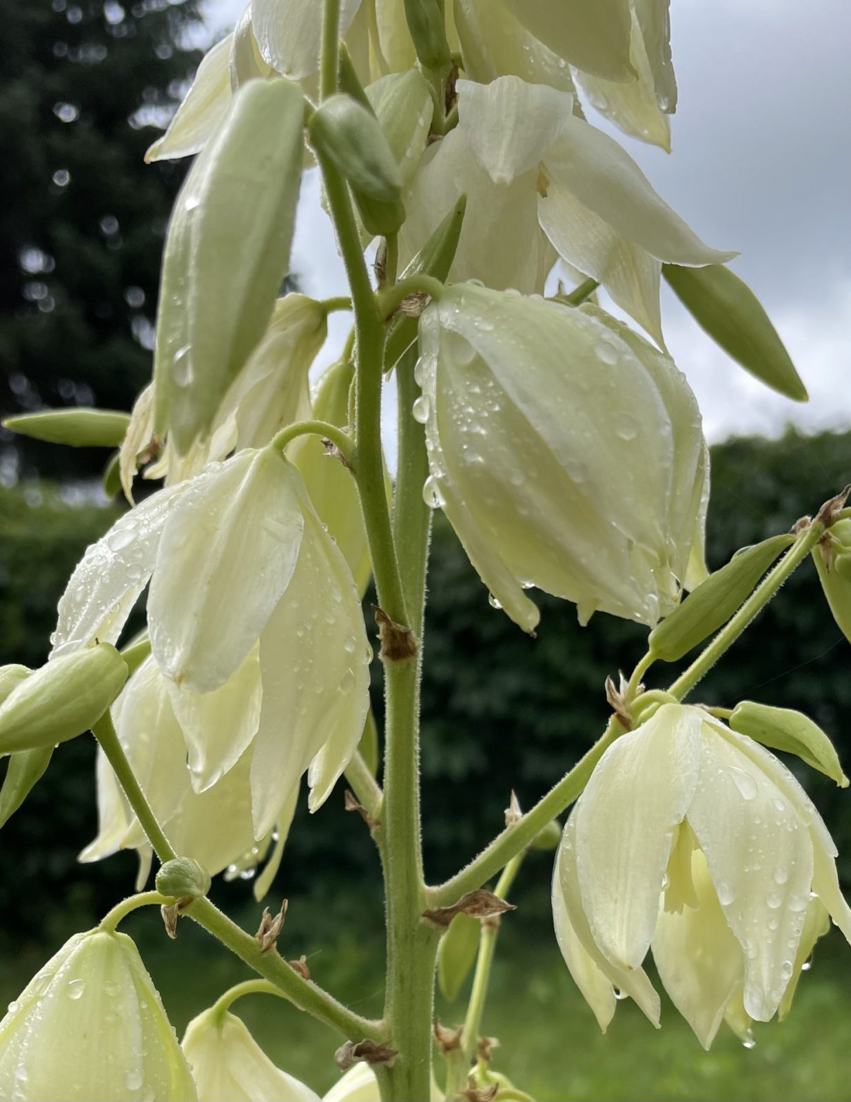 748588D5-B5AB-4094-8A66-AE66D3AE9B5A