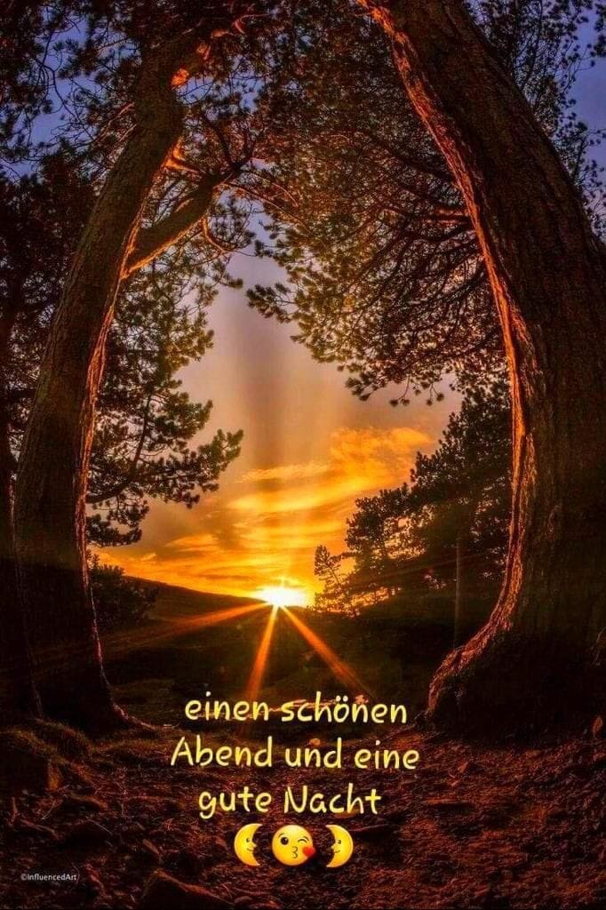 74d61aac-947a-47fa-86a9-988749e3e759