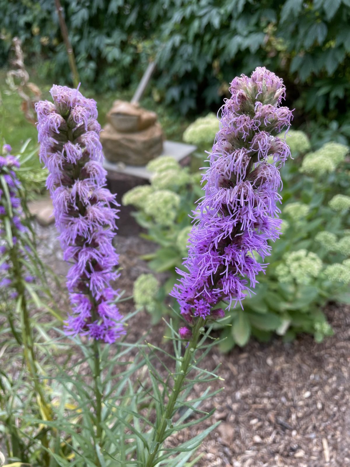 7511BA35-783C-49B7-8C79-1DBEF42311D9