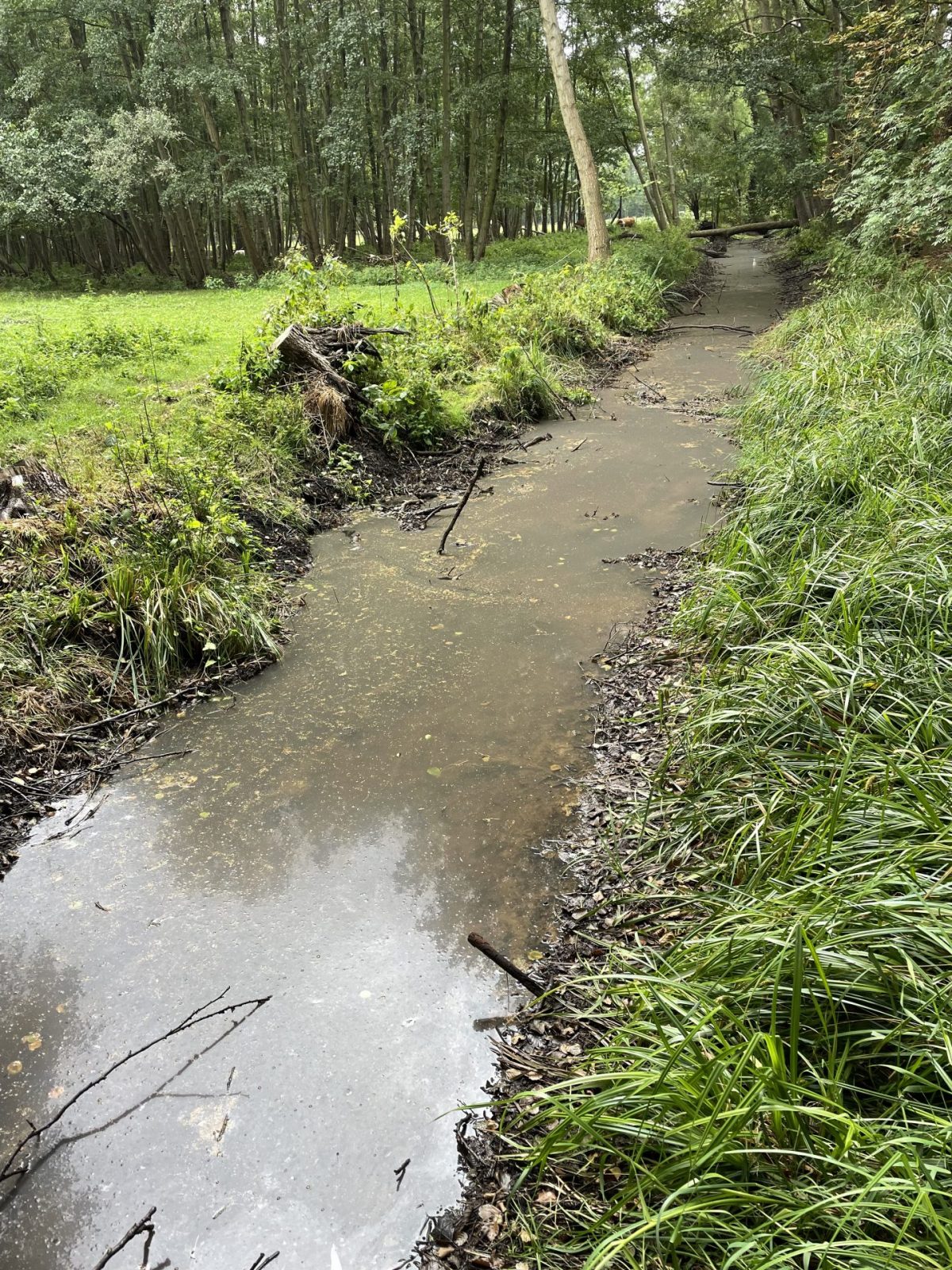 753D6C5D-107B-4F66-BB1E-AFAF1CBC044F