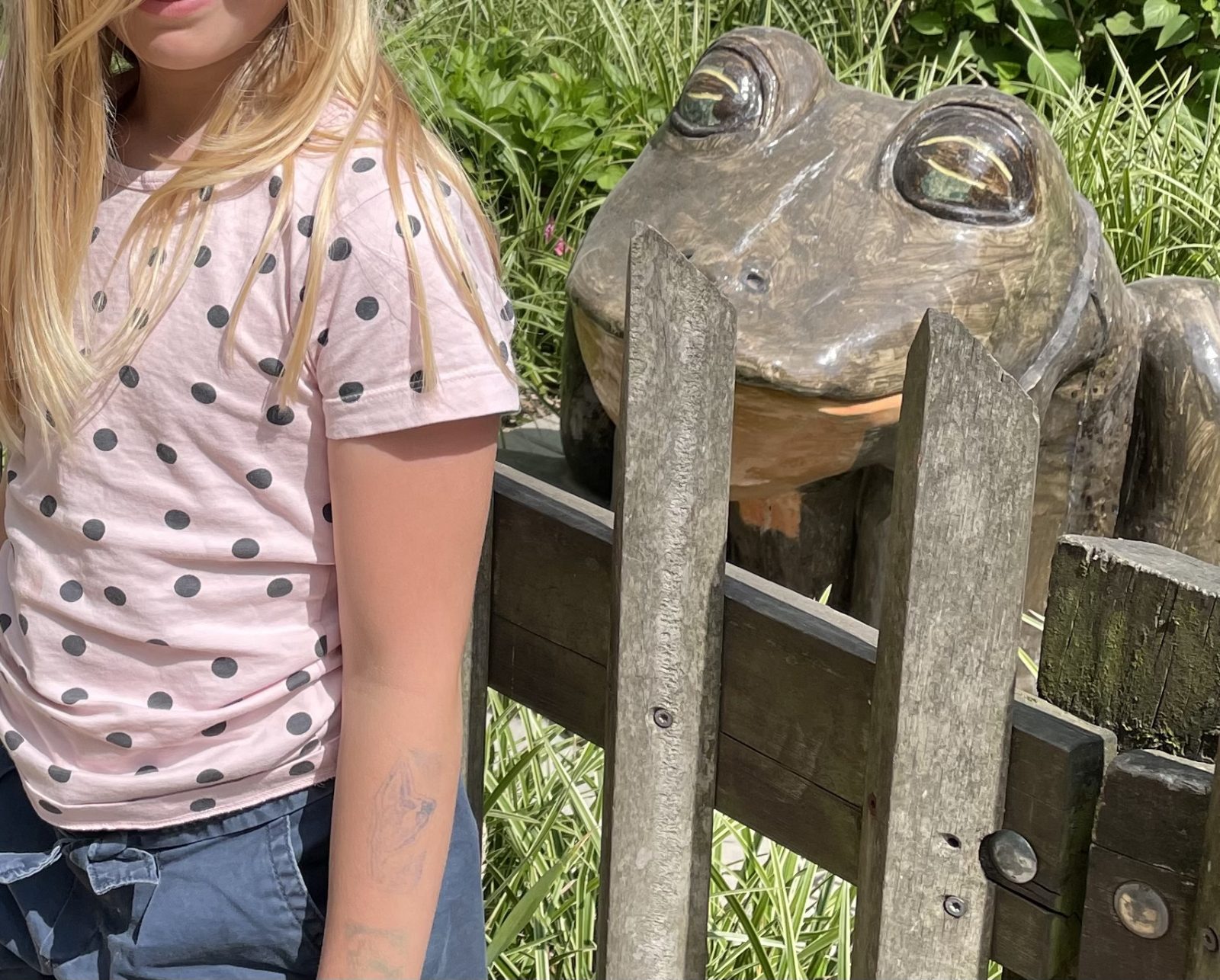 7553A406-2471-4092-A1FB-BCDB36FB94C1