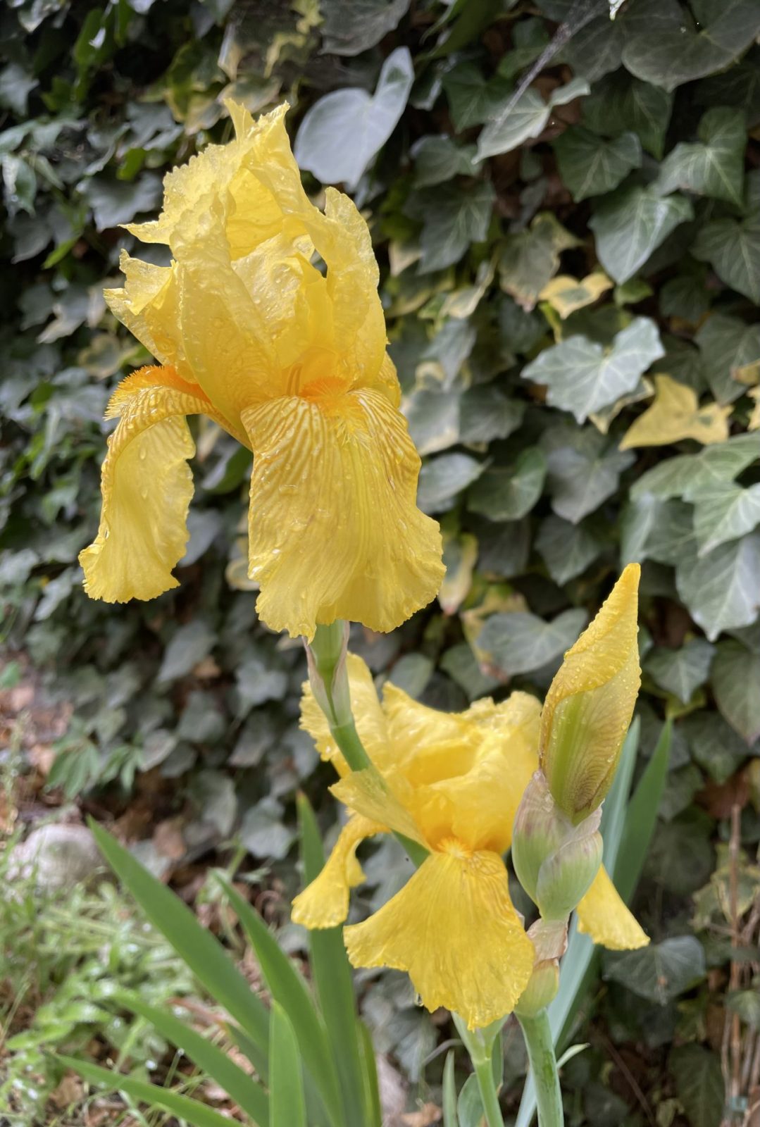 7623502B-A78A-4D35-822D-E685741FB6B1