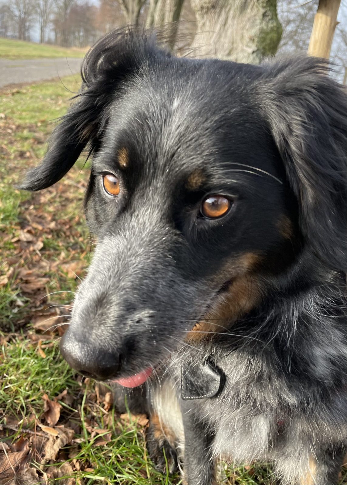 7626AF19-4466-4892-8C87-ED4CBFF2AC1C