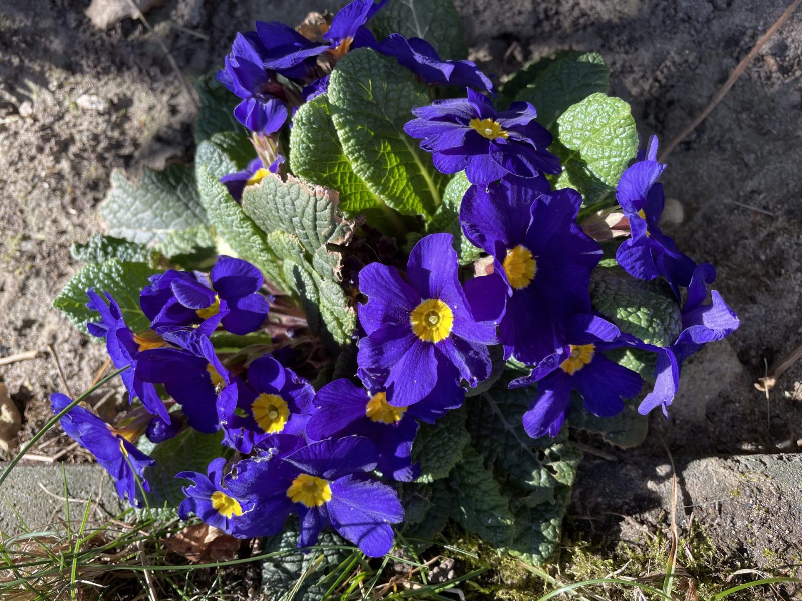 764BDCCC-4615-465F-AC1F-8F2EEA649E62