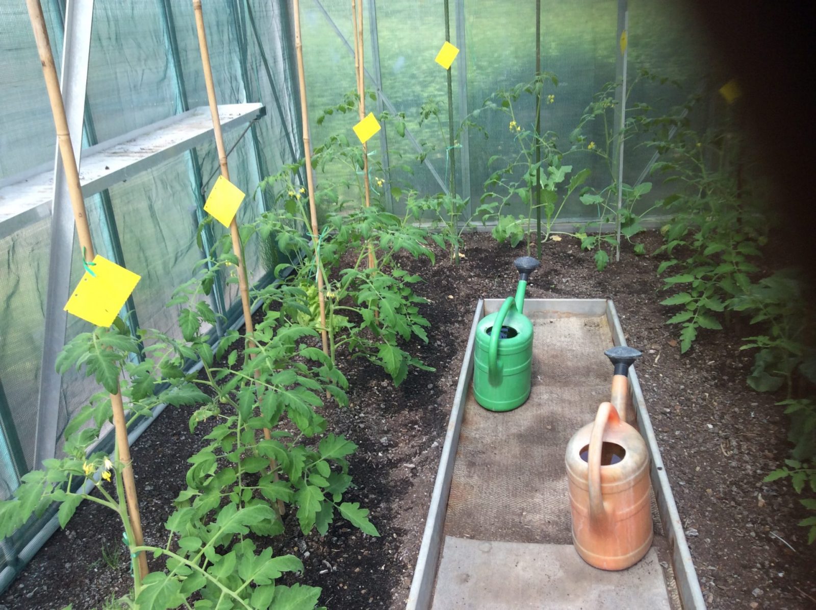 77039366-9156-4240-B97E-79C146372C9D