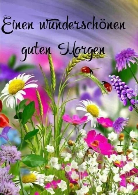 7722c9226d6e4d0dae1a1f8a38e48aba