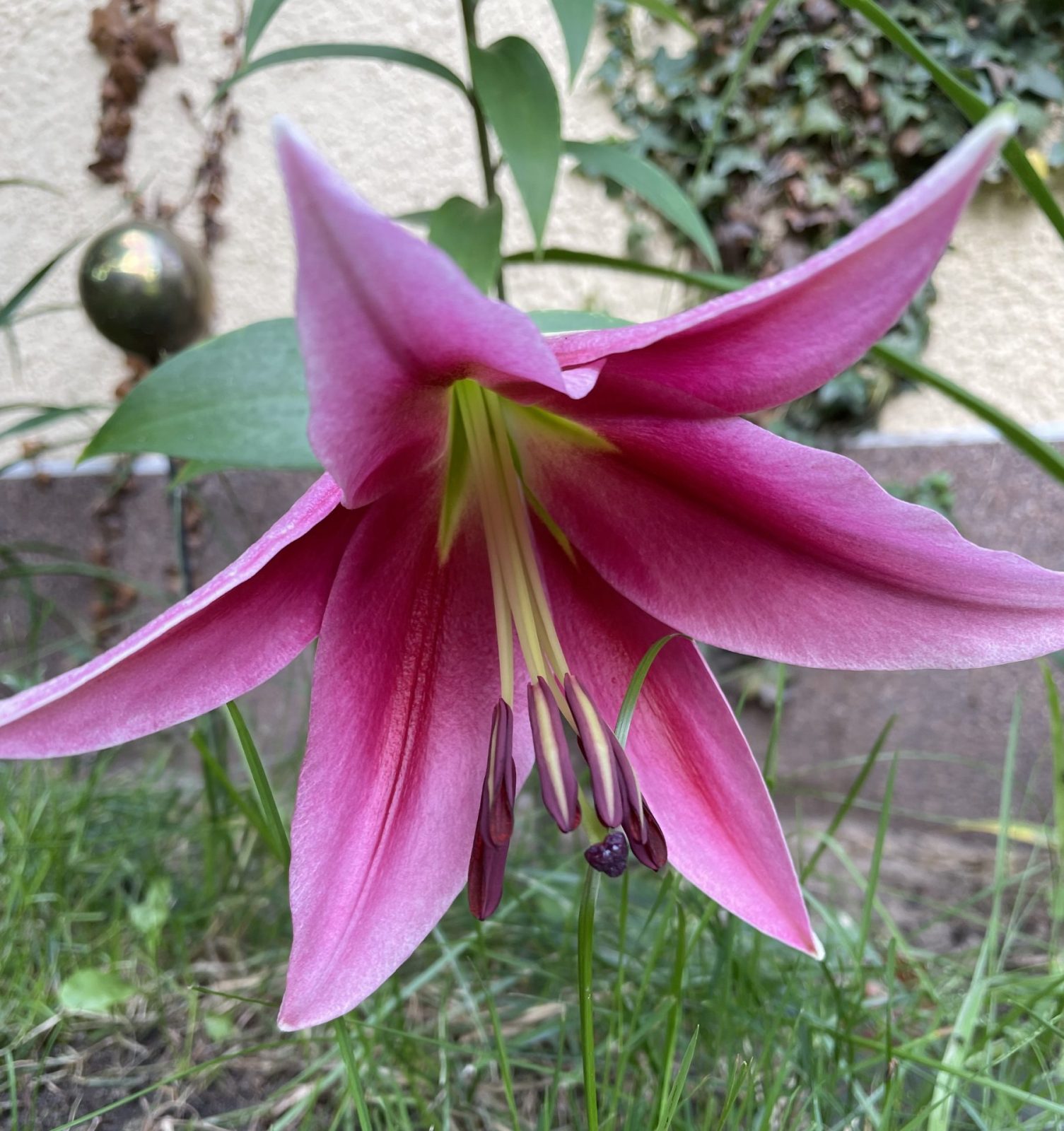 77649266-E77F-47A9-BDFB-4D7CCBFC3C84