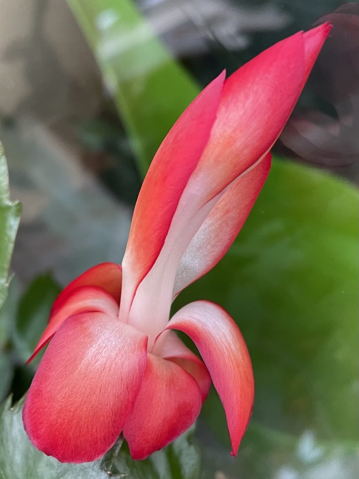 7768ED50-20B5-43F4-83B3-5D3056A9E471