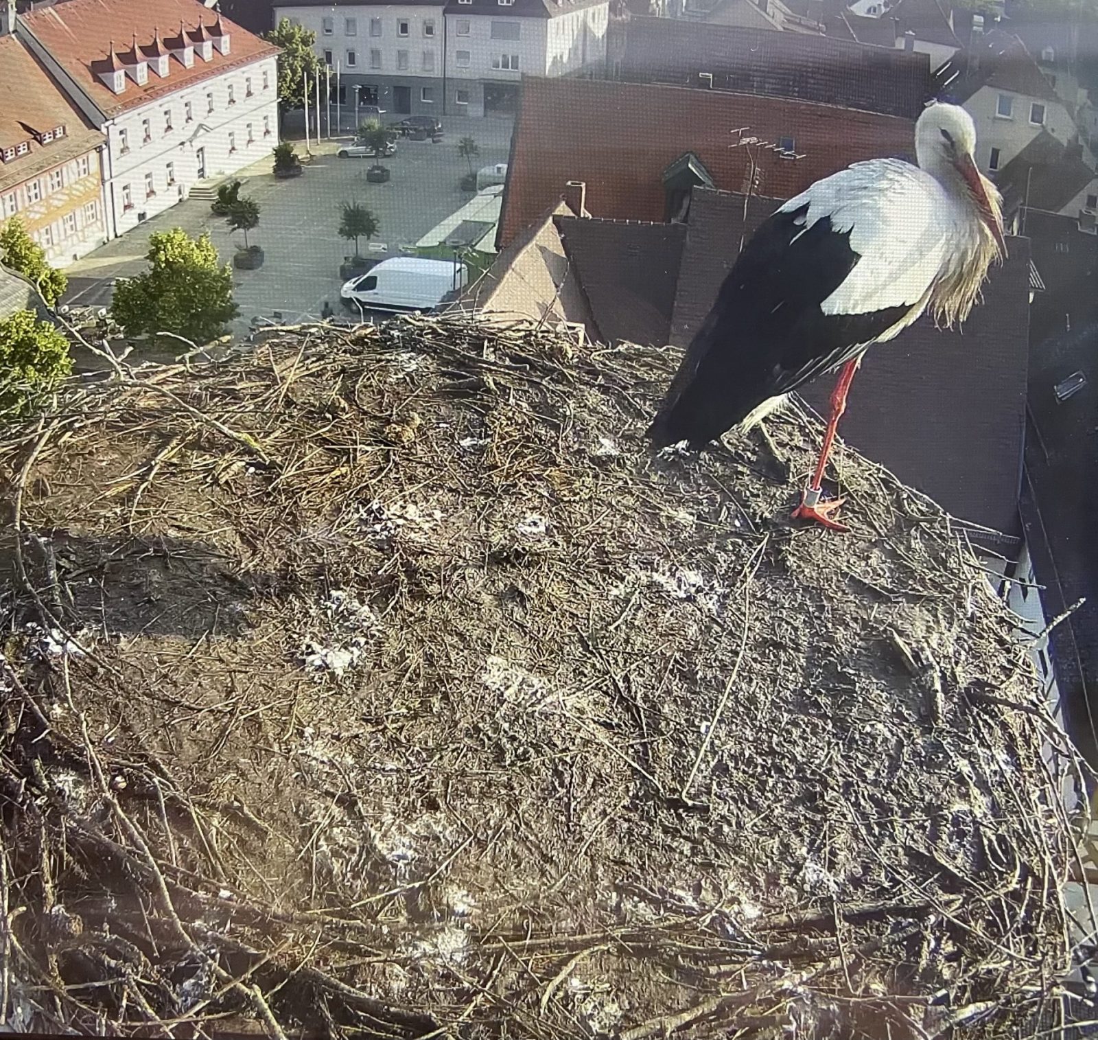 776FADD4-7289-4813-AB31-907655FF61B7