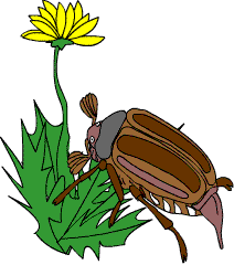 7791083_34b65096ce_m