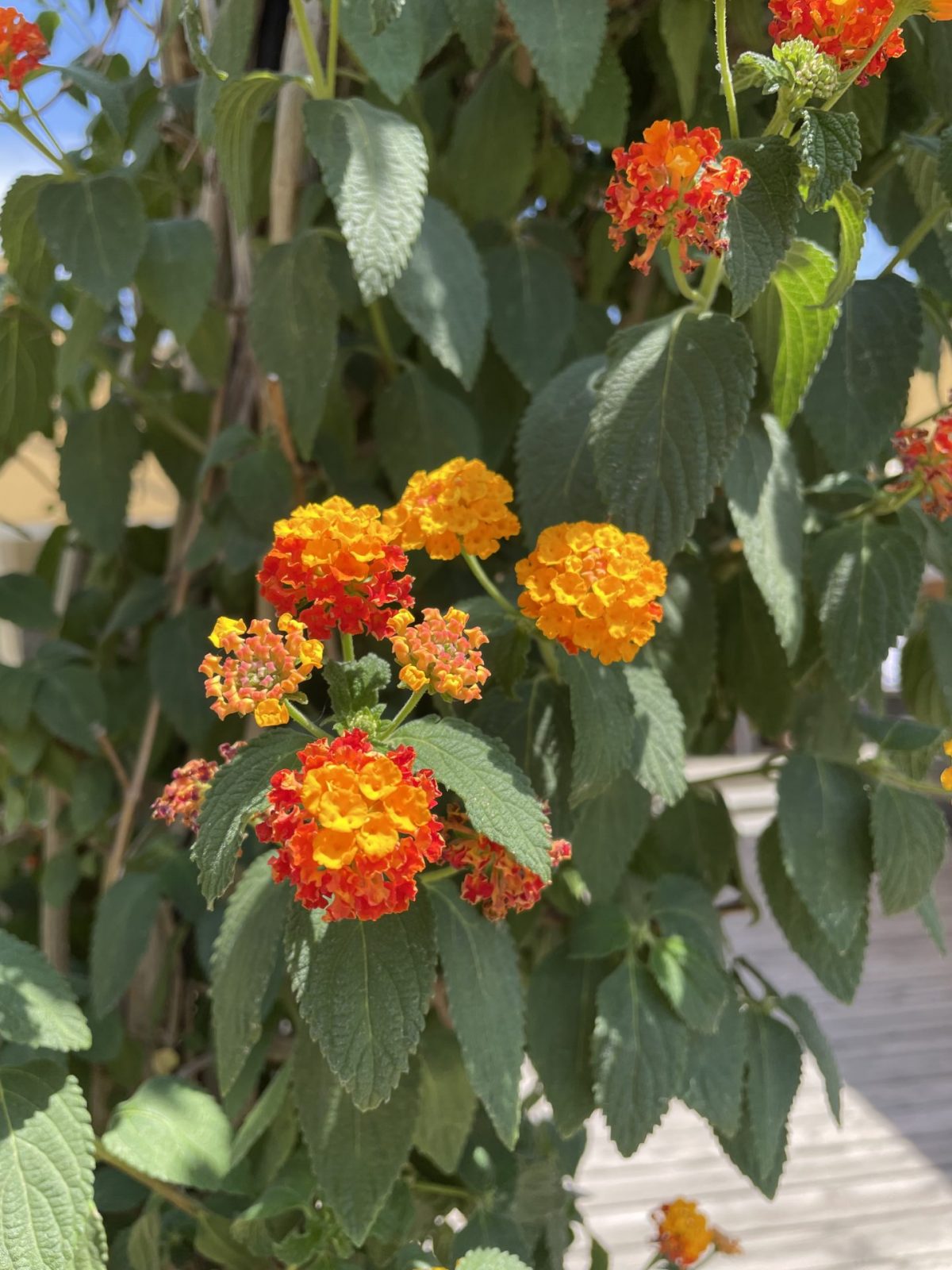 77CDD8B8-88CE-40FF-8495-E81565E0461A