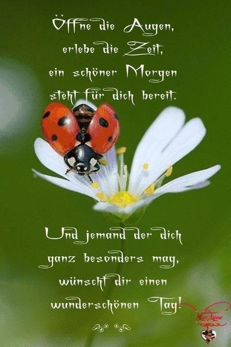 77b0c81041537b304c1de90e4441bd3c