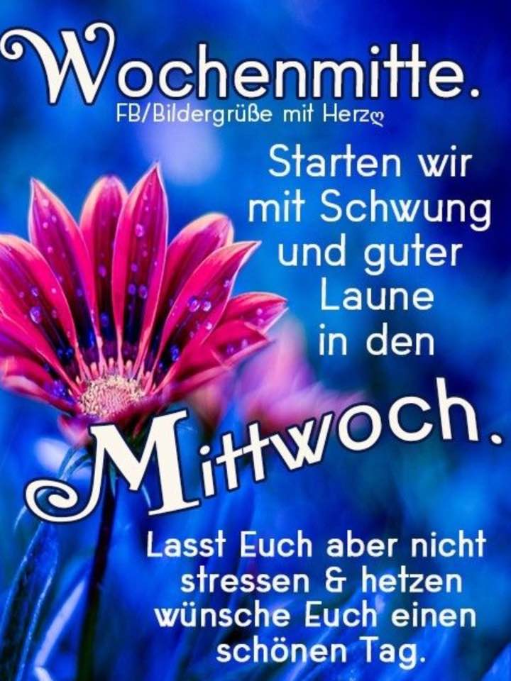 78795474_1035351613485794_959454226017157120_n