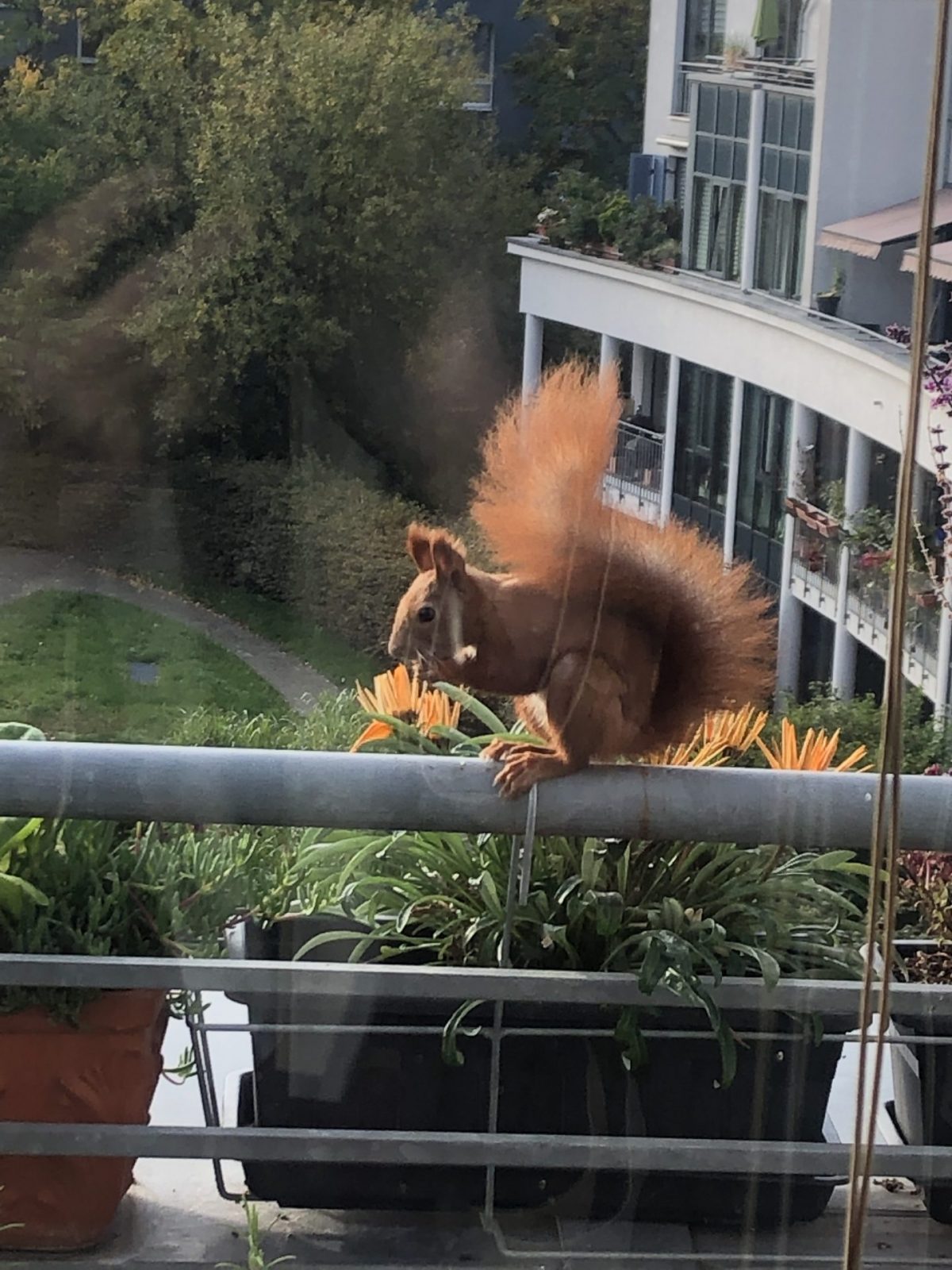 788F0776-B82E-4676-AE6D-9CABFDFFDD81