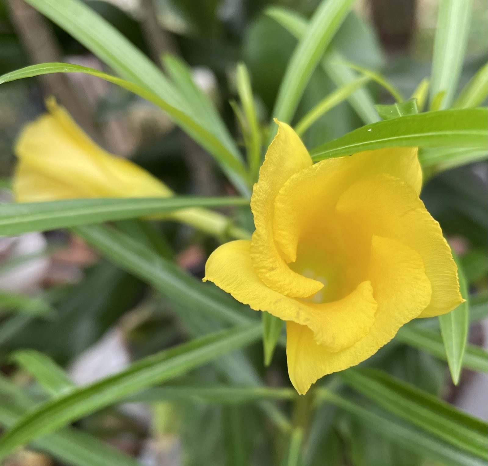 78CB9A10-2693-404D-A0F1-619C3D276269