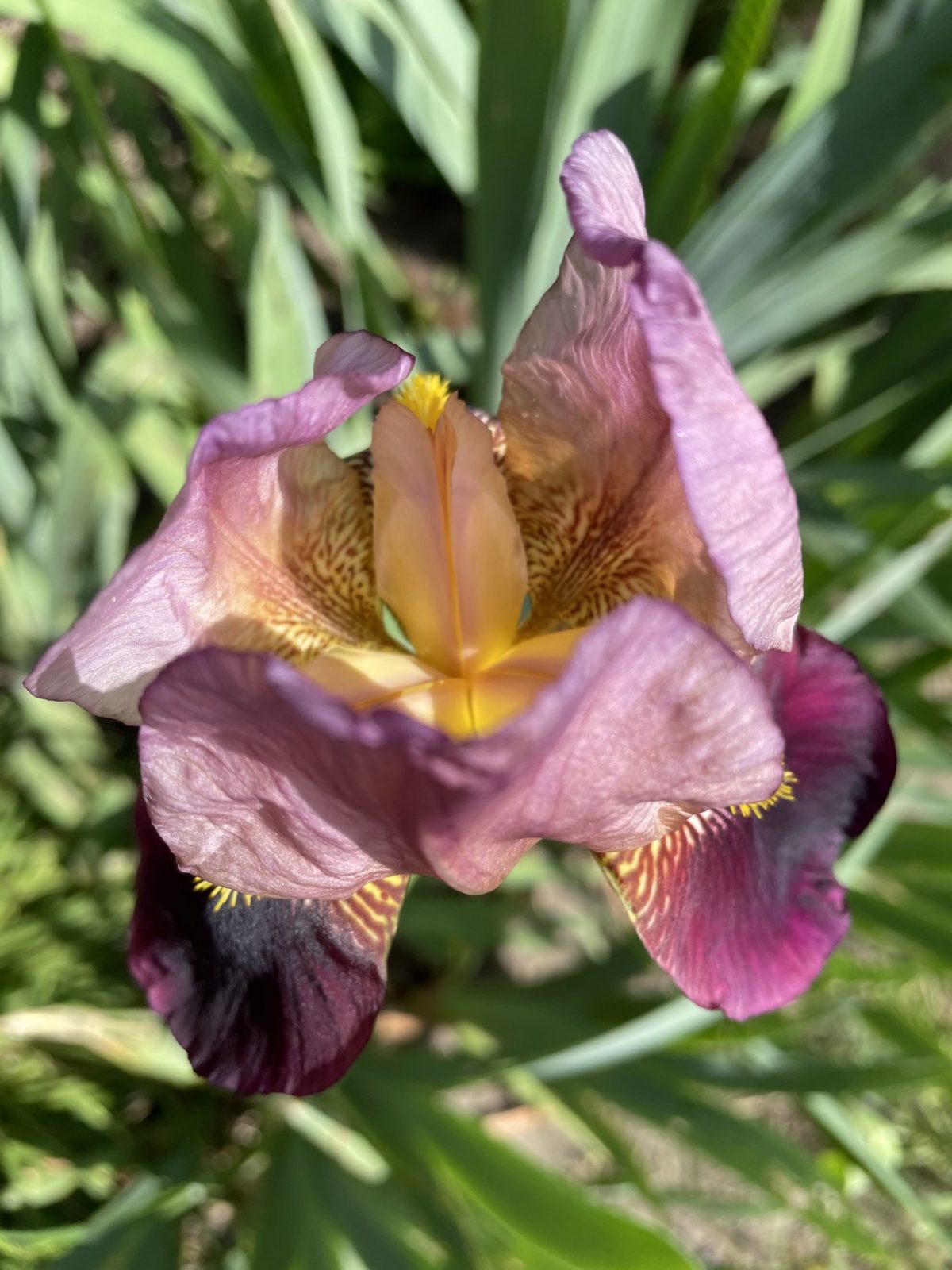 78F4A6F9-070A-46E6-B72D-BDB94EA102D9