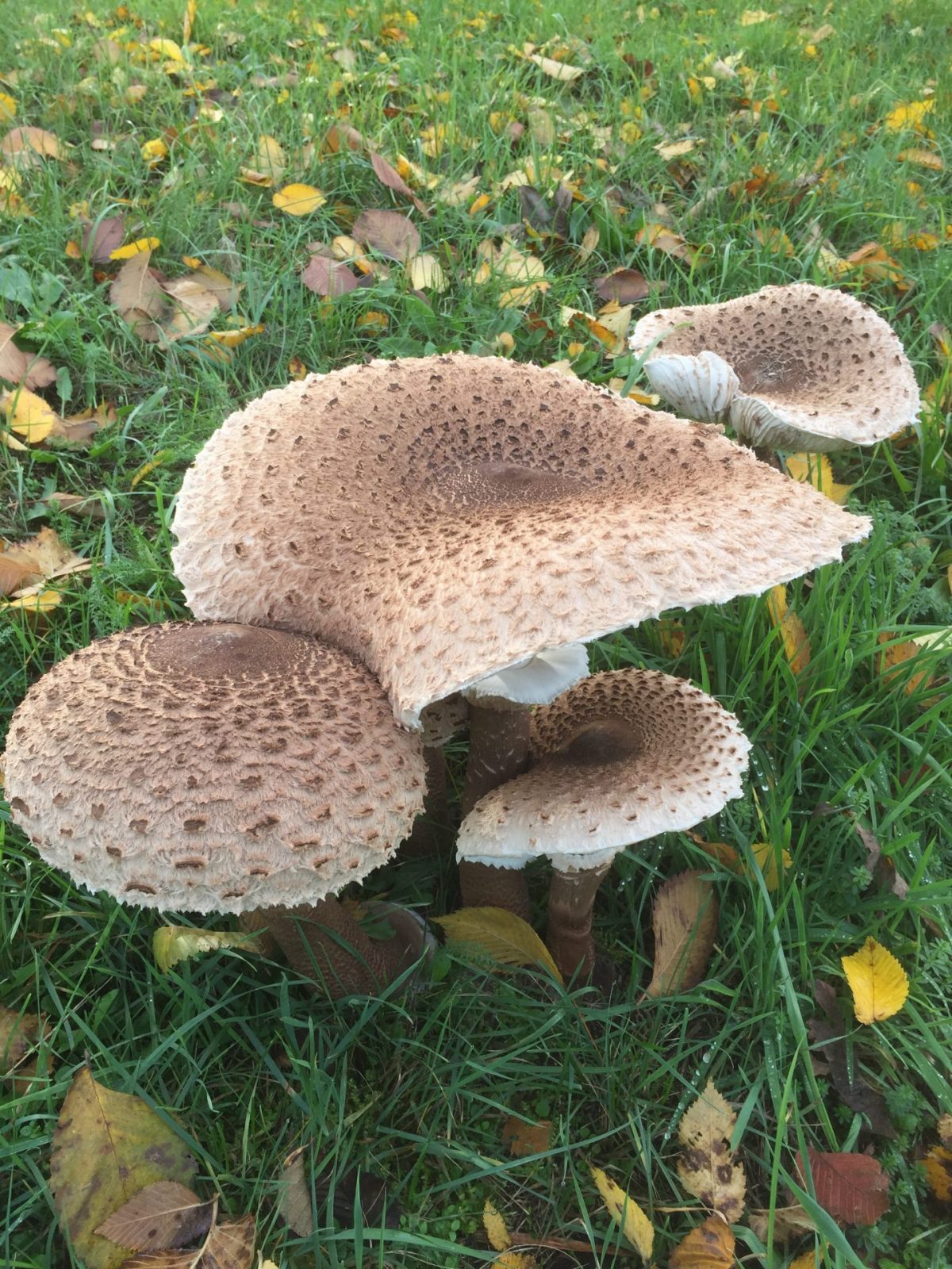 792E7AF6-D6C8-4469-B47C-9E25E41636EA