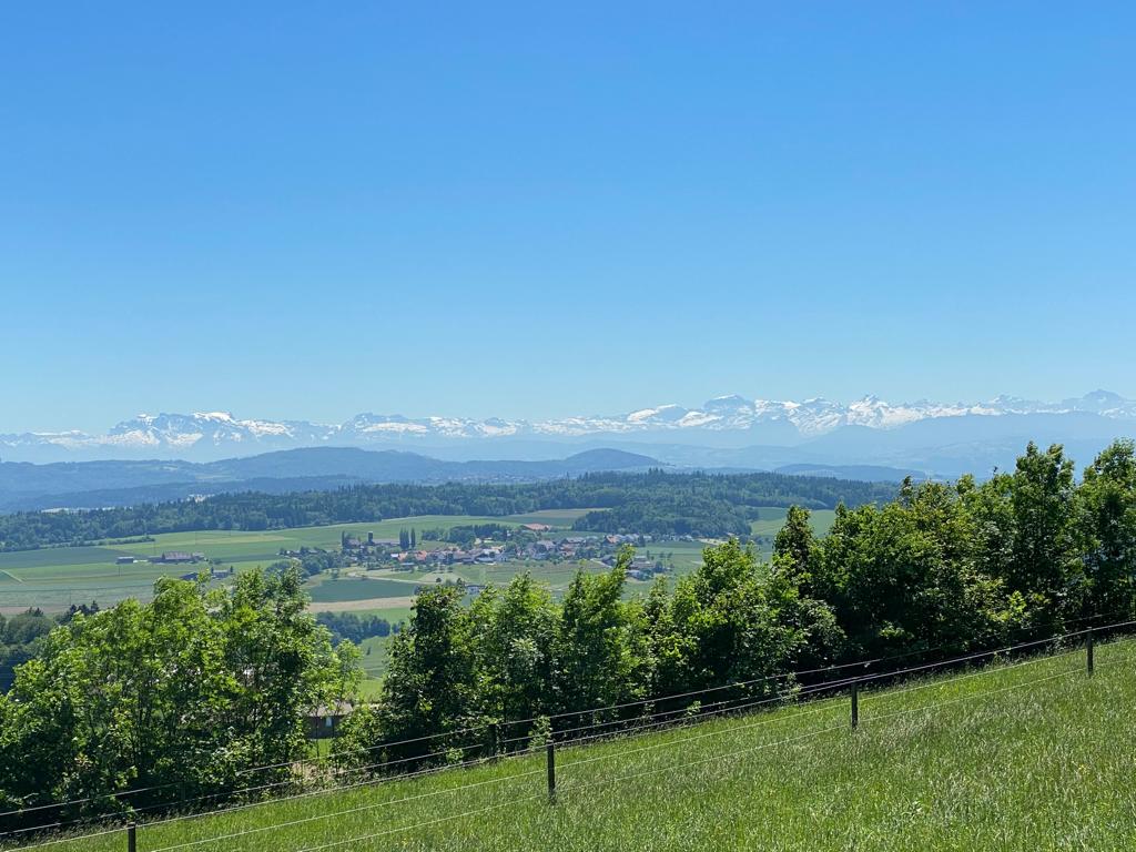 798902D2-53B3-4458-B0EE-E1F3904C4478