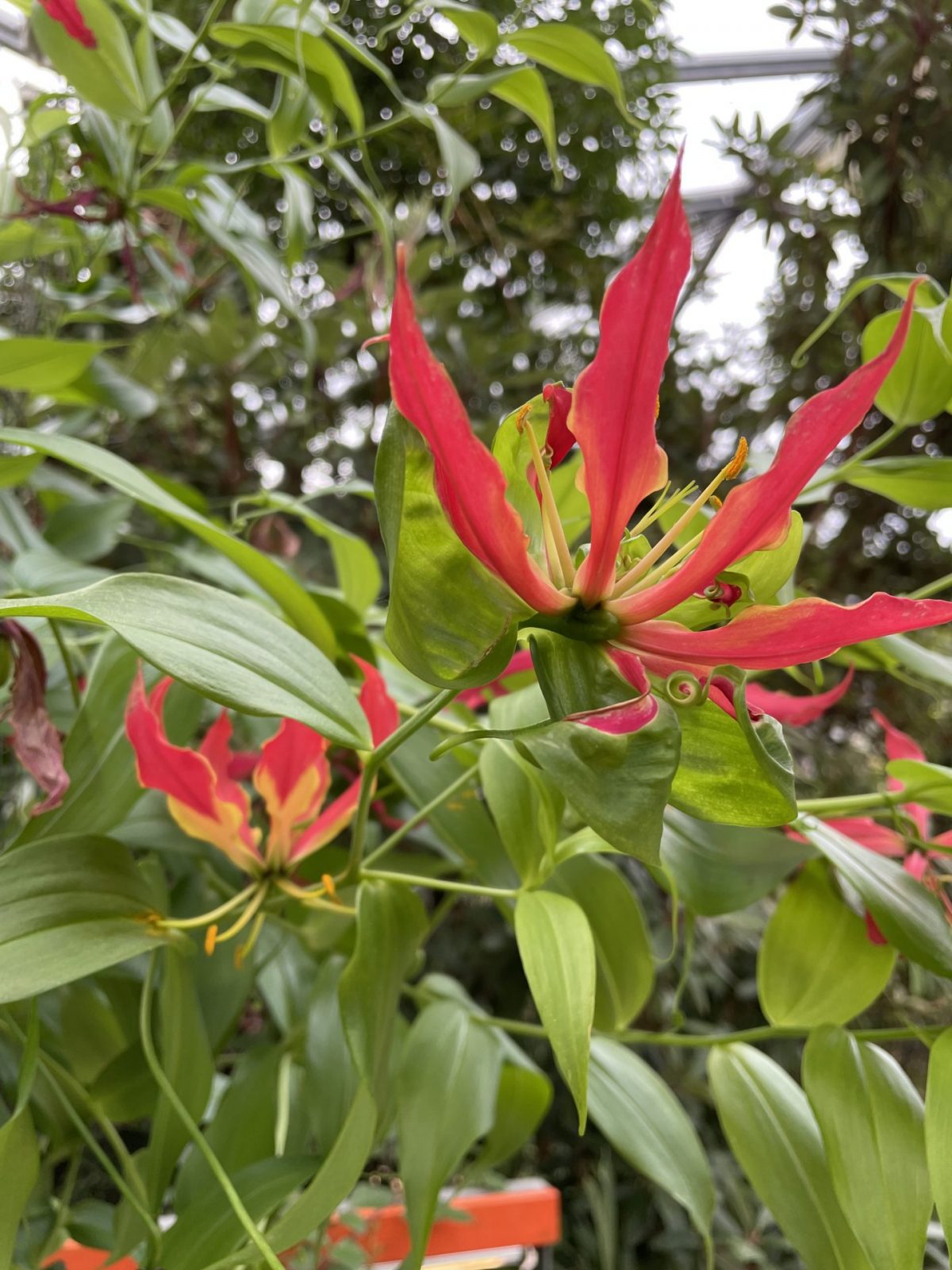 79A4762D-6D47-4042-A2D5-016708EDDA68