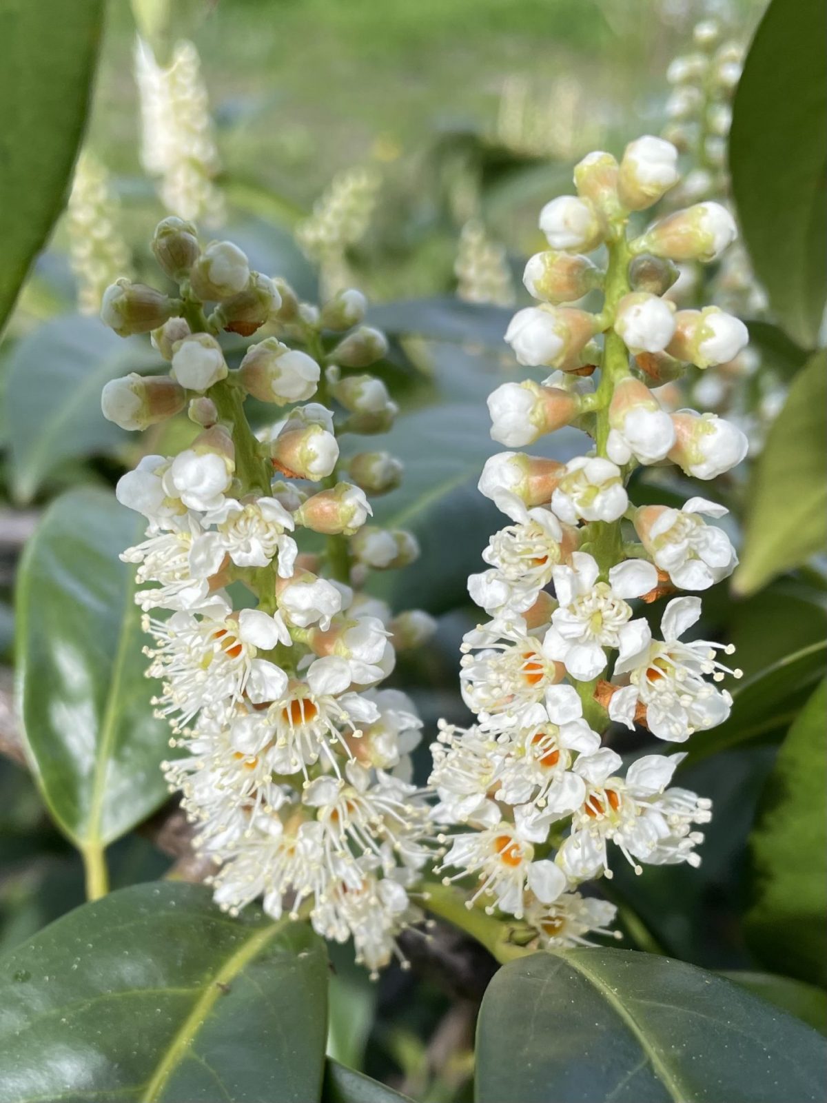 79F2B0E6-39ED-4565-91F7-5C52DF14614B