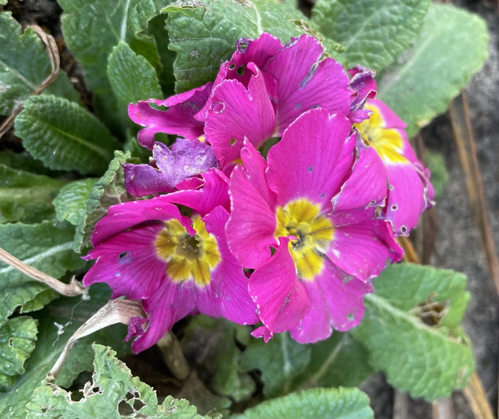 7A017C6E-7EFD-4B9F-BDA1-80CBFC737674