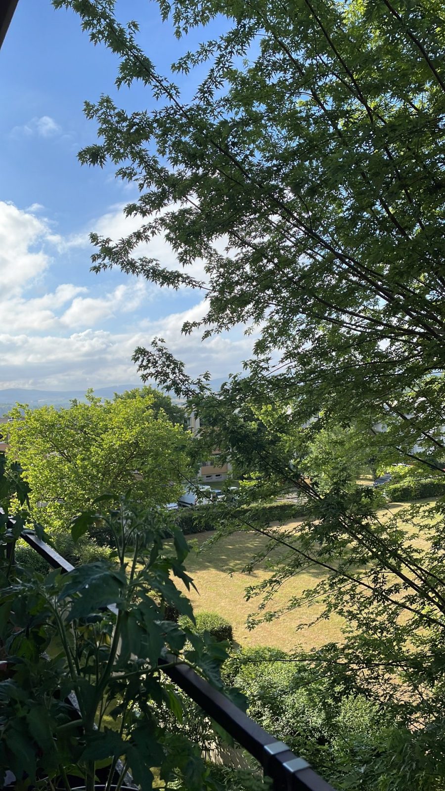 7A18E3E2-A8AF-4E98-95D8-3C6D87C1B12D