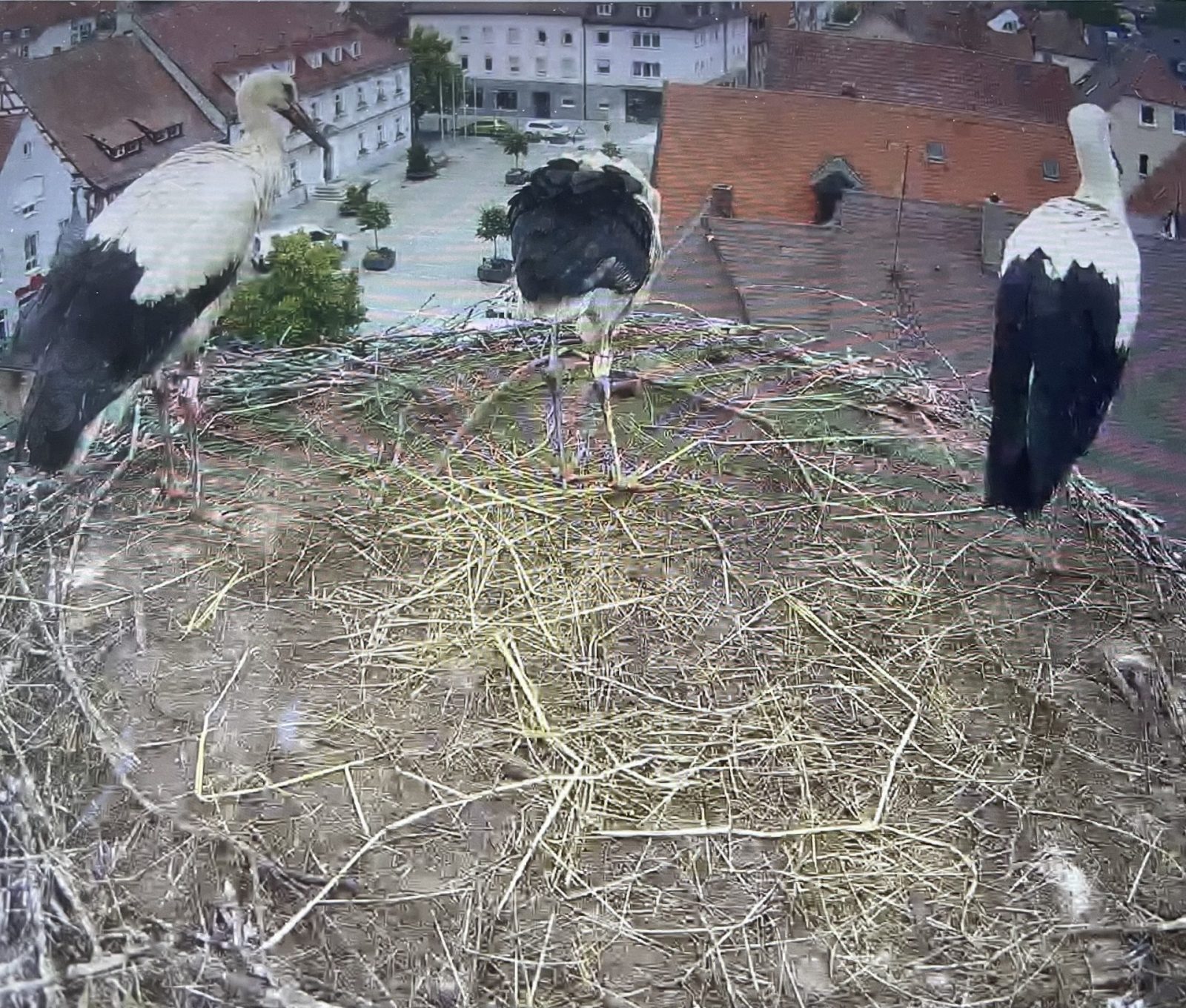 7A5599B2-9F0D-42A7-991B-4BAE5A8EF81B