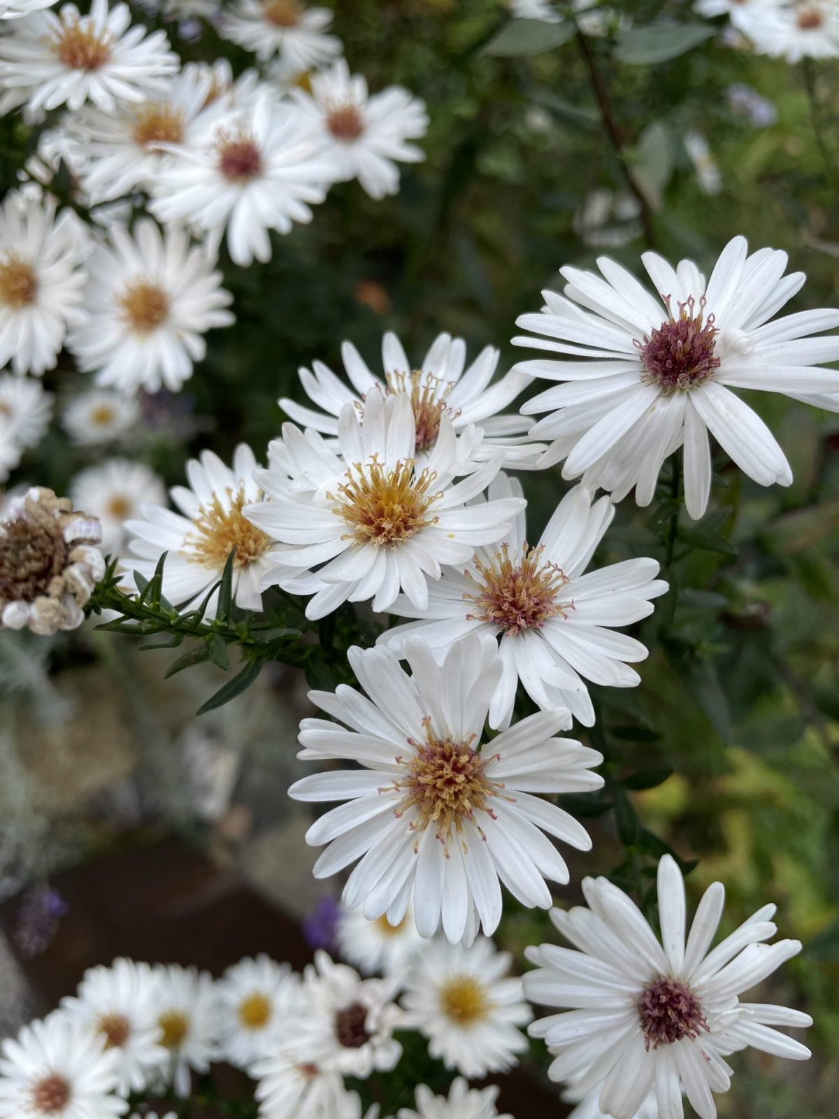 7A586714-A2AD-426E-8958-1592AF84CDC1