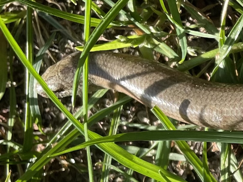 7AC8E014-A939-4952-87EC-A692518748A3