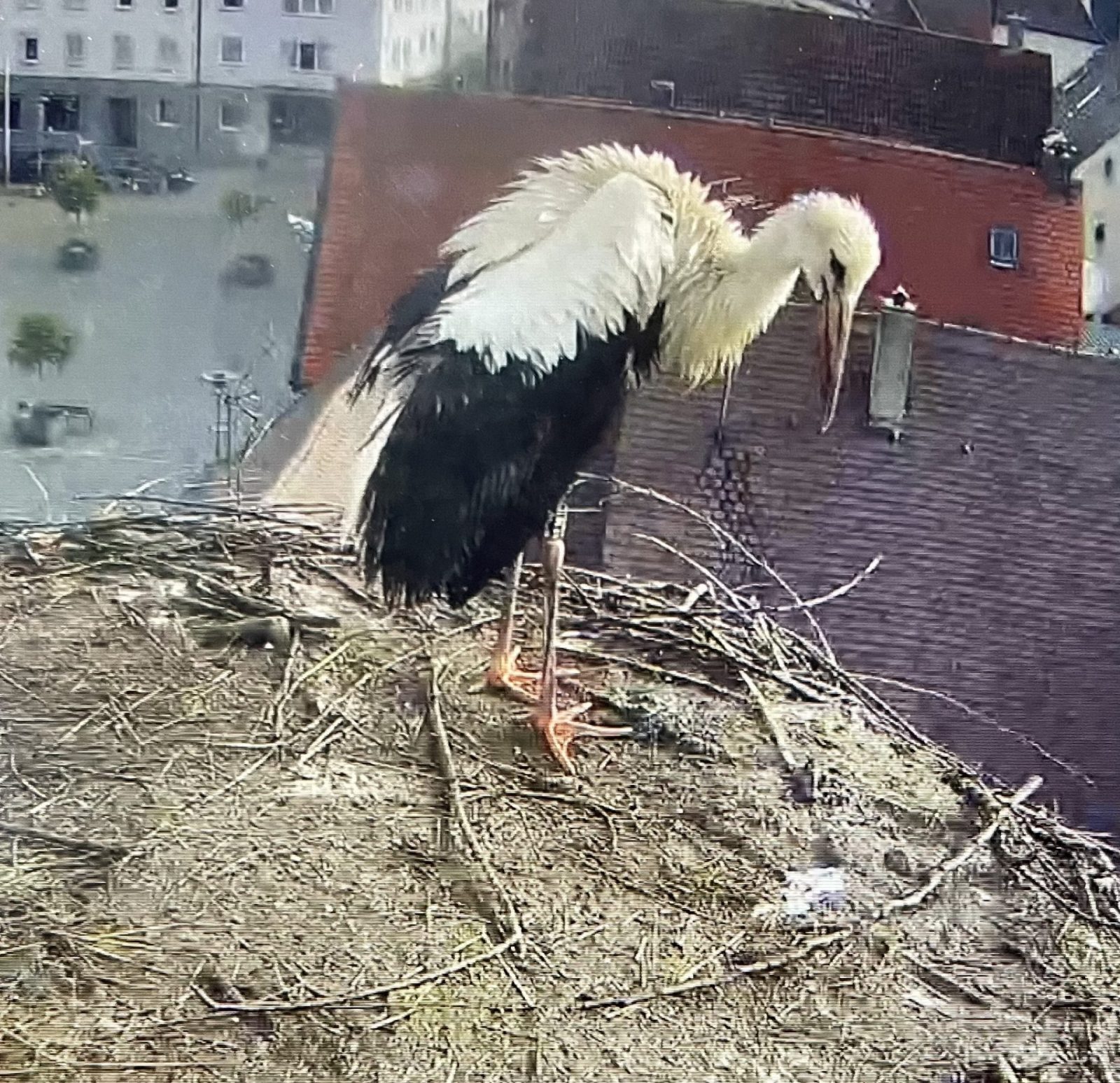 7AD93726-ABA4-44F8-93EB-26BC37213050