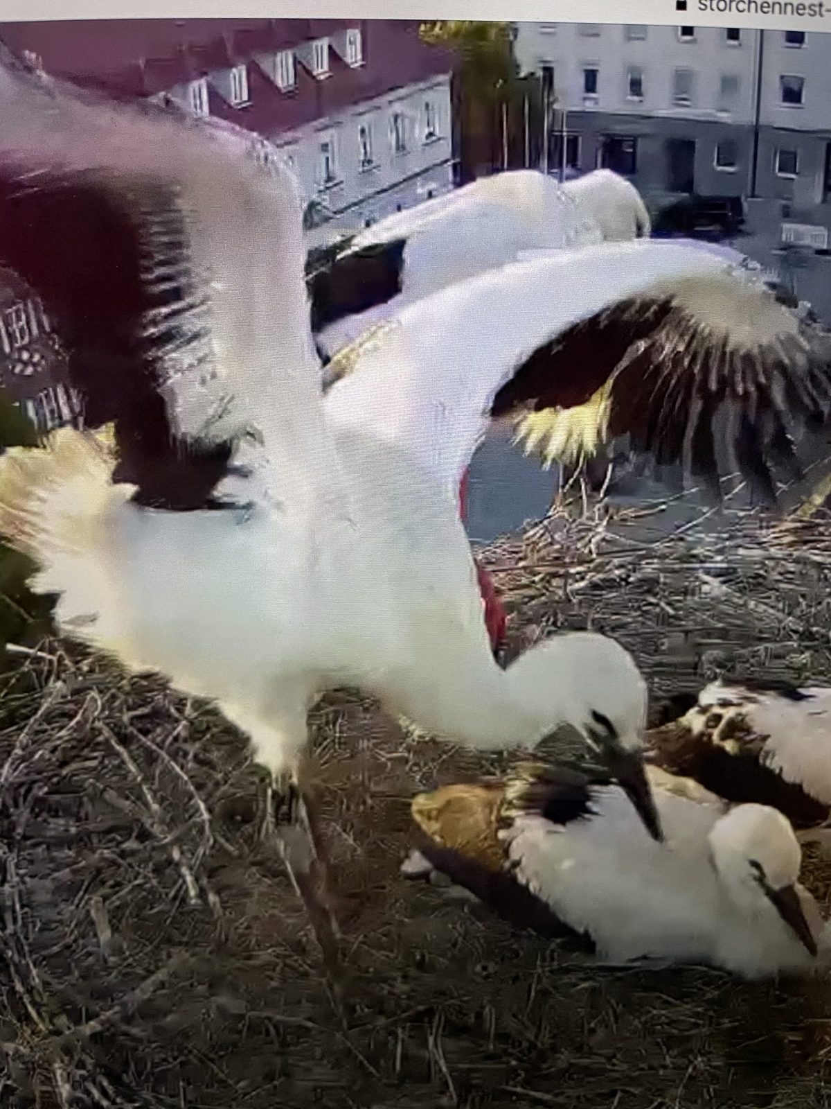 7B3AE186-E5B3-4086-8272-5952AF127750