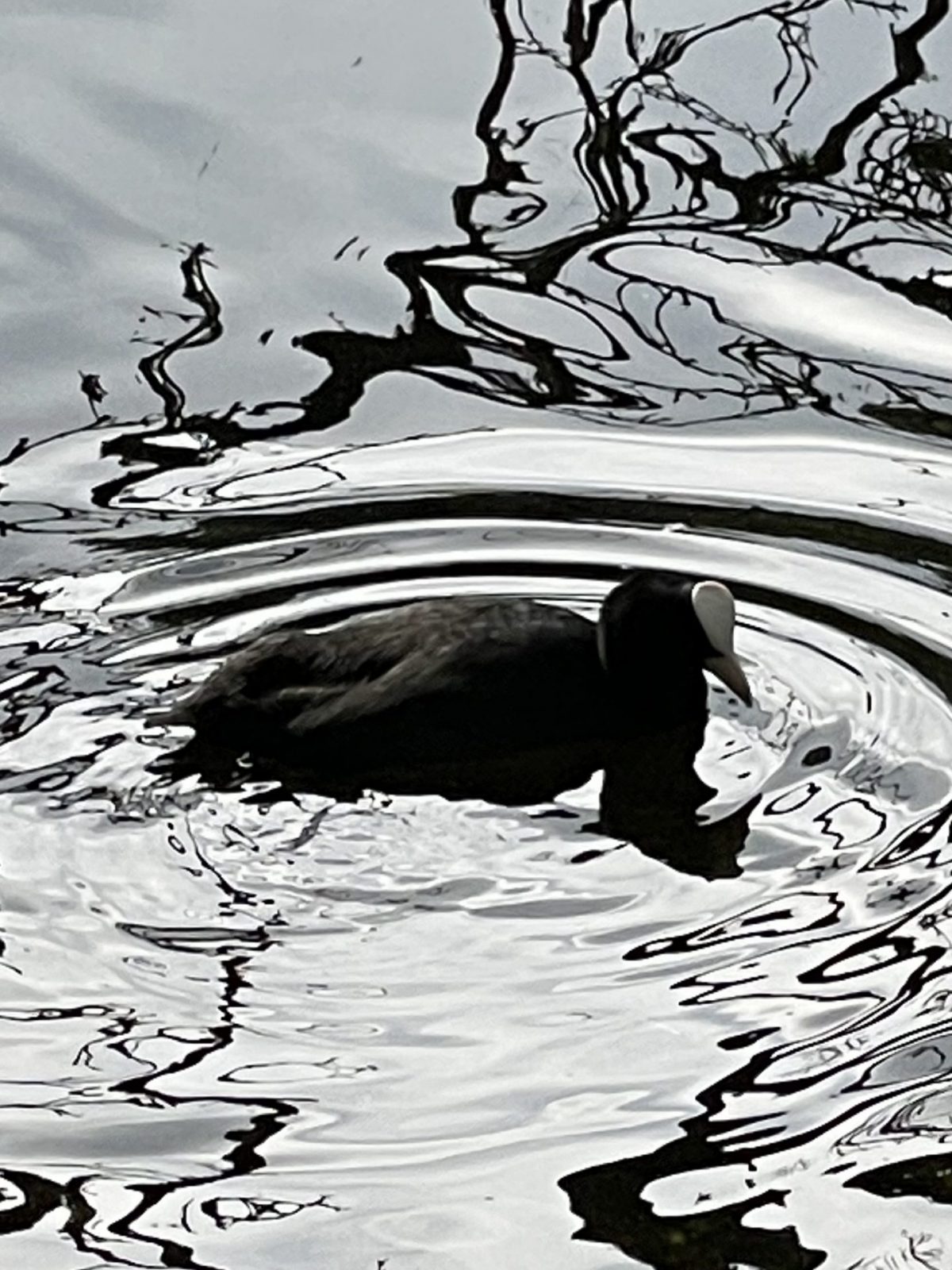 7B971F13-E286-4F94-845B-59BBC696A8D8